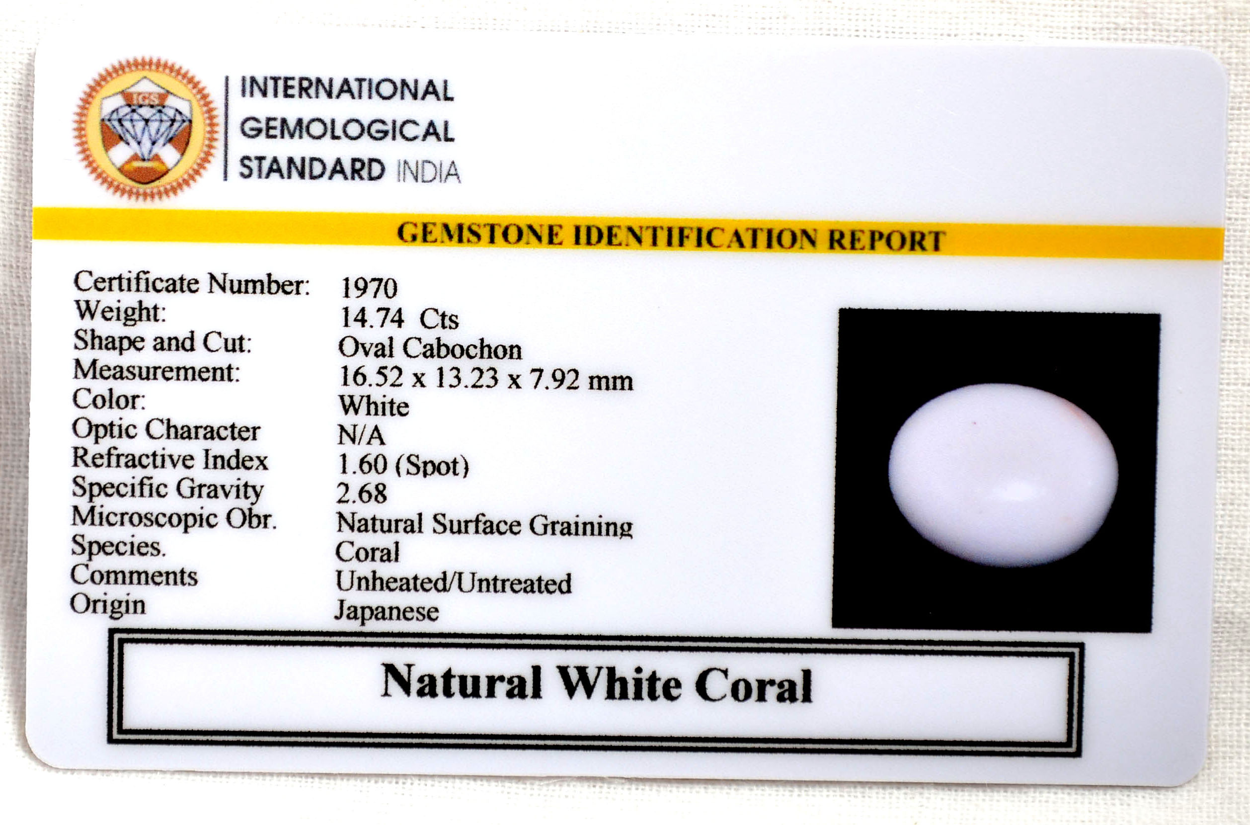 CRL6119 2 CORAL 14.74 Ct.