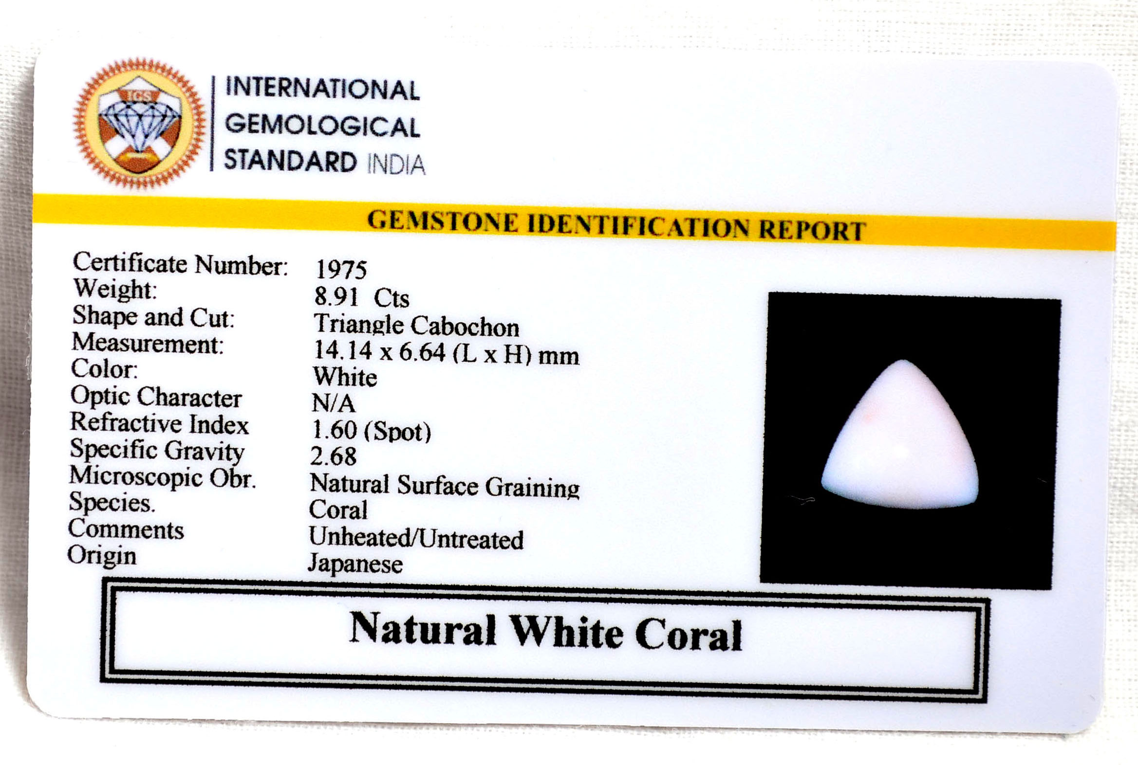 CRL6121 2 CORAL 8.91 Ct.