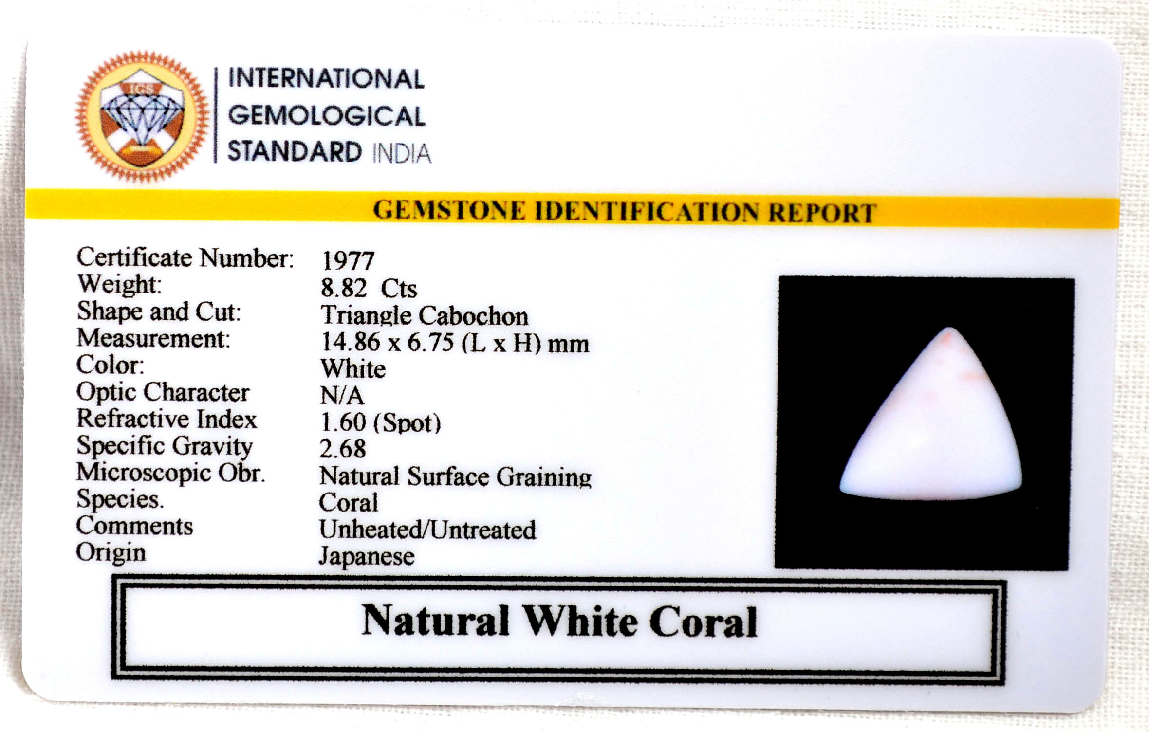 CRL6123 2 CORAL 8.82 Ct.