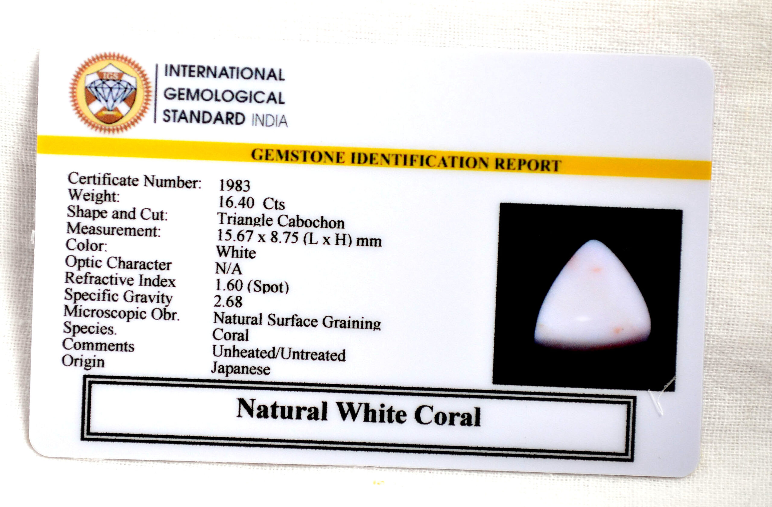 CRL6127 2 2 scaled CORAL 16.4 Ct.