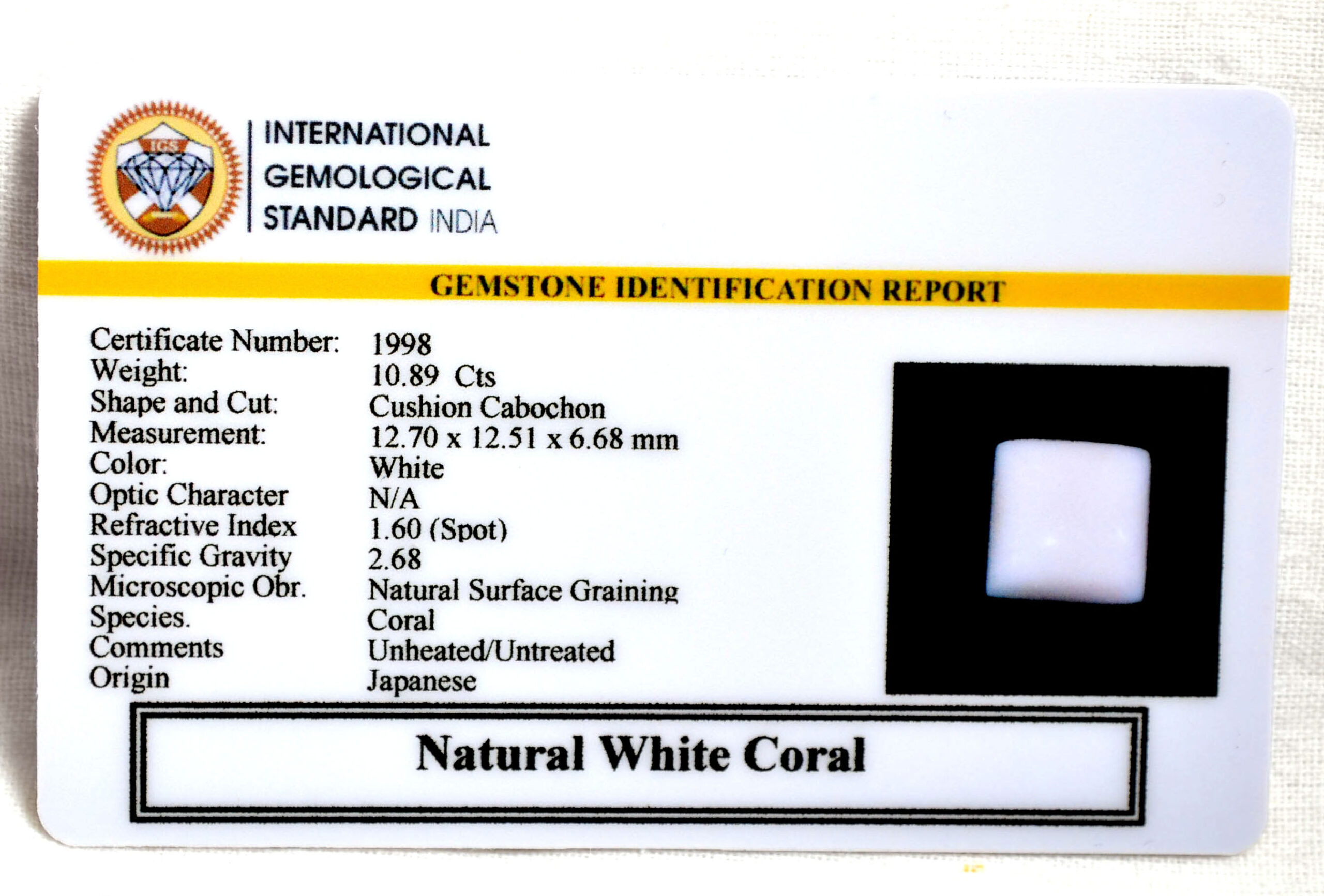 CRL6140 2 2 scaled CORAL 10.89 Ct.