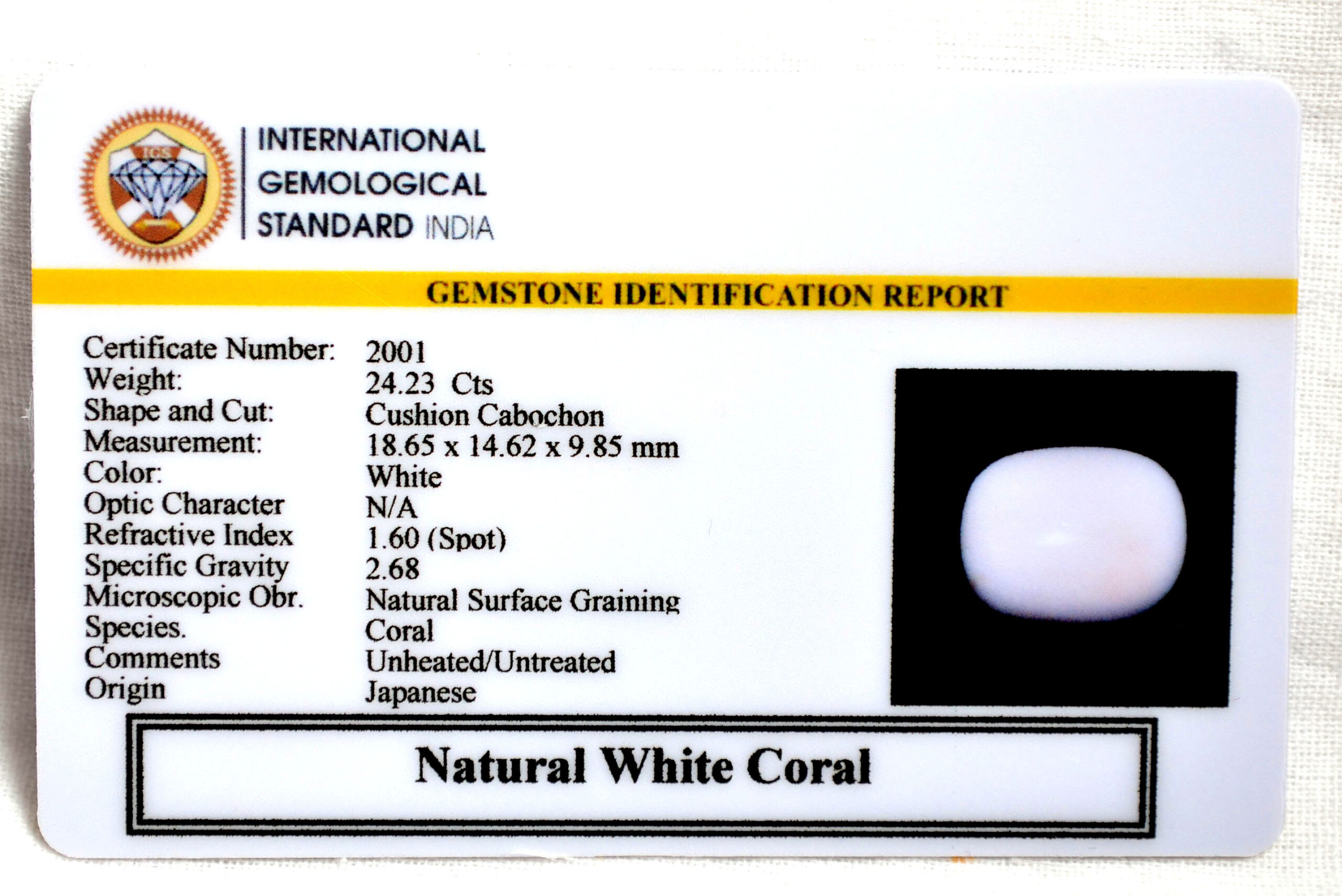 CRL6142 2 2 scaled CORAL 24.23 Ct.