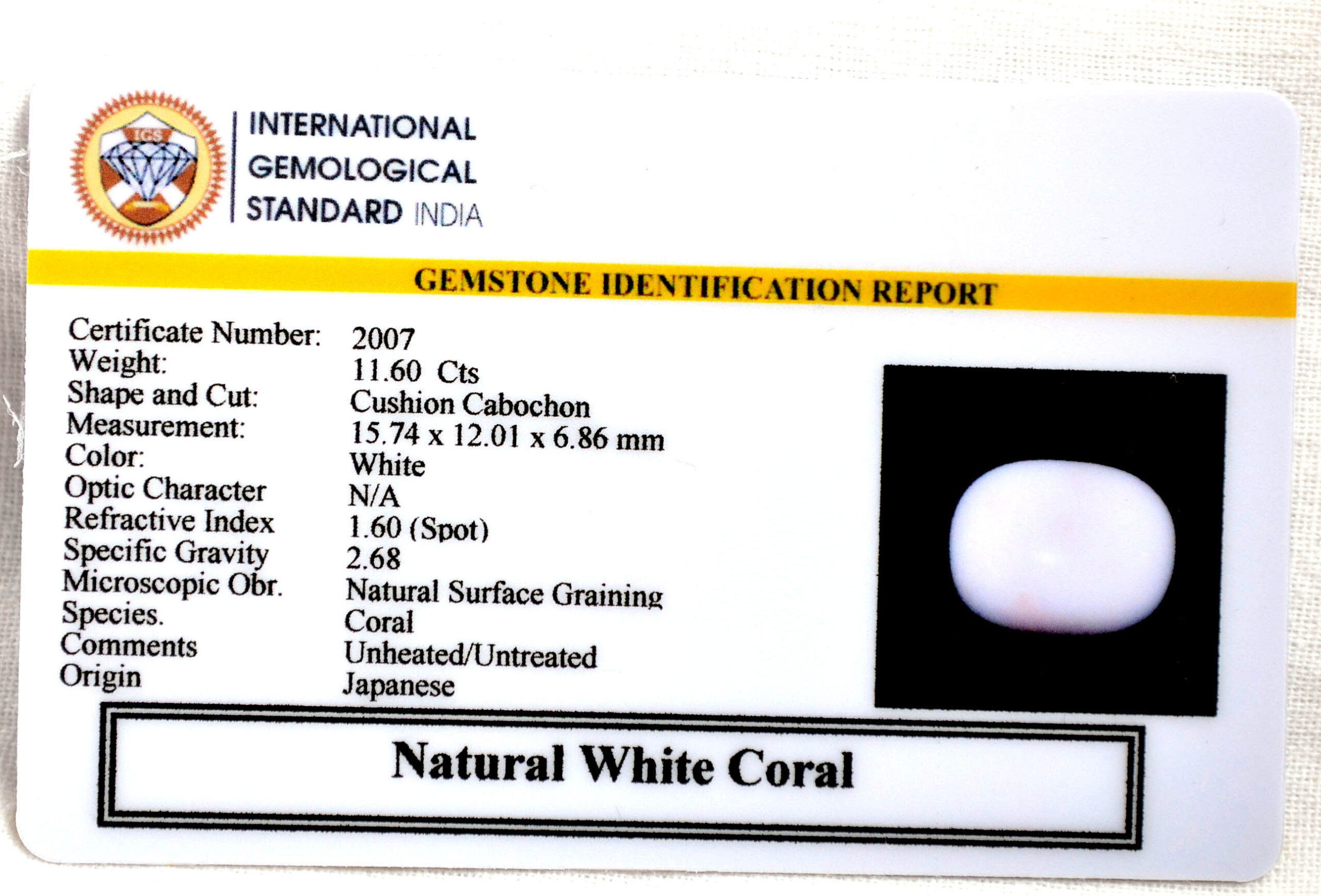 CORAL 11.6 Ct. 3 CRL6144 2 2 scaled CORAL 11.6 Ct.