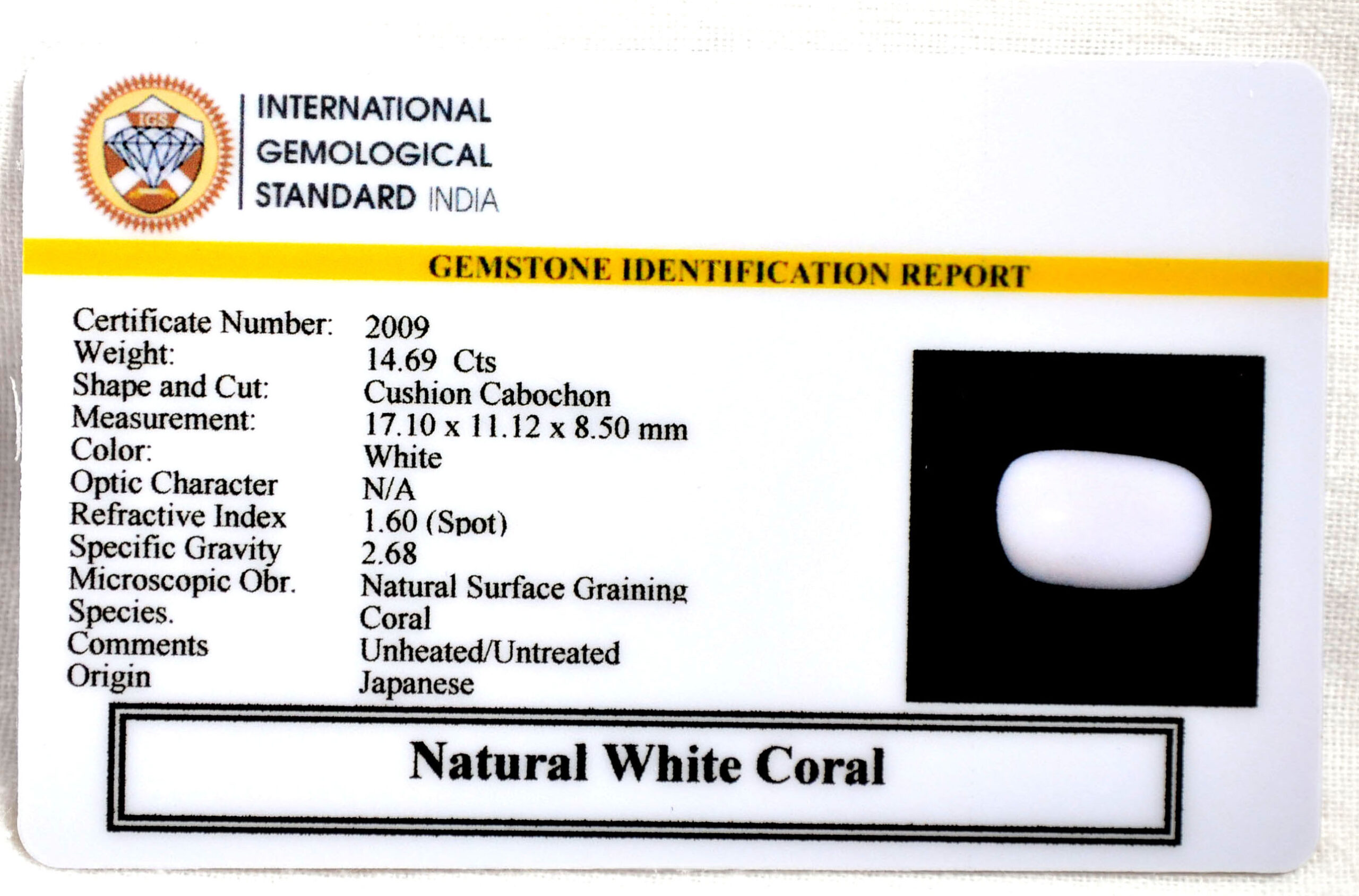 CRL6146 2 2 scaled CORAL 14.69 Ct.