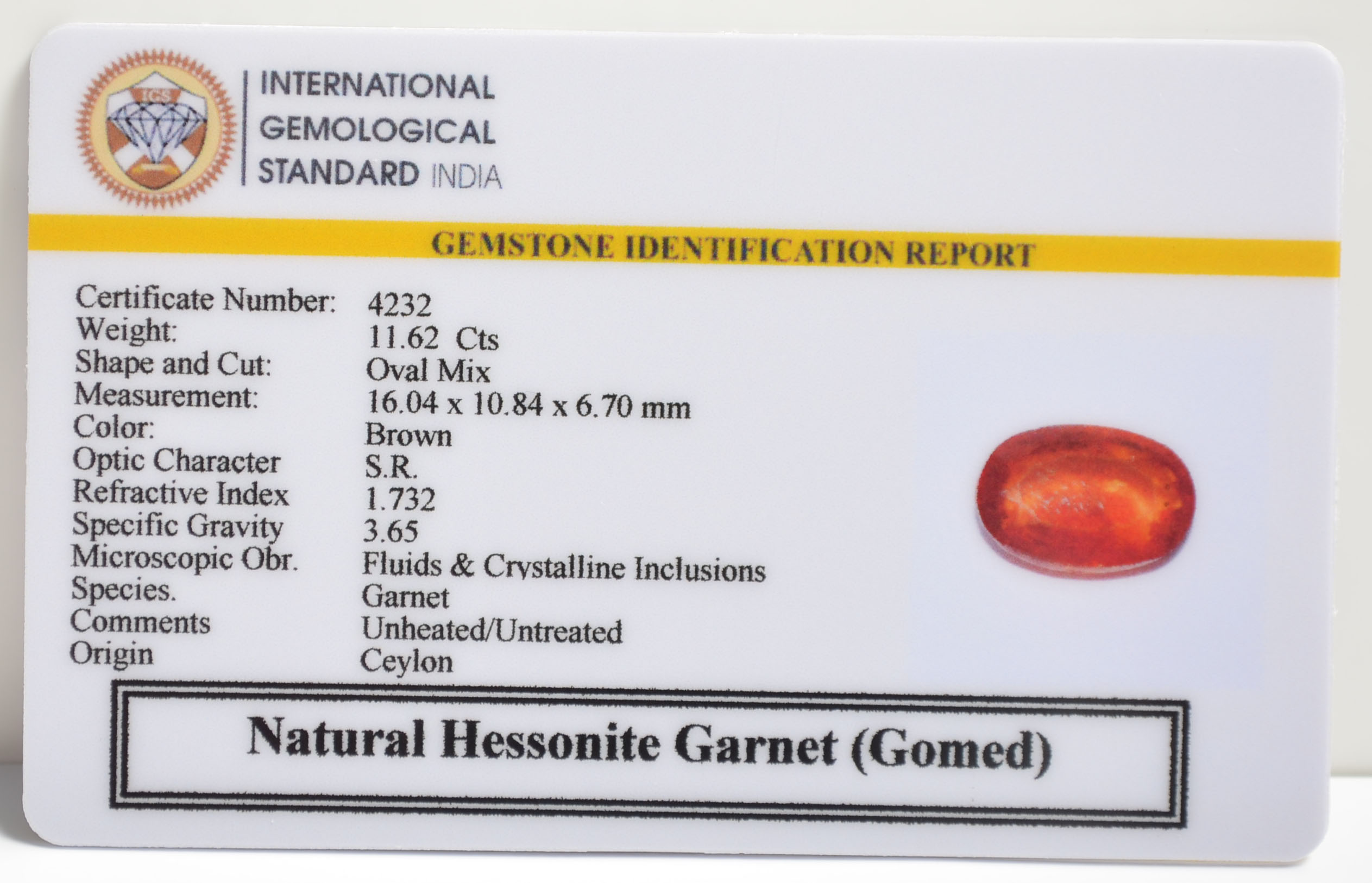 GMD7163 2 1 HESSONITE GOMED 11.62 Ct.