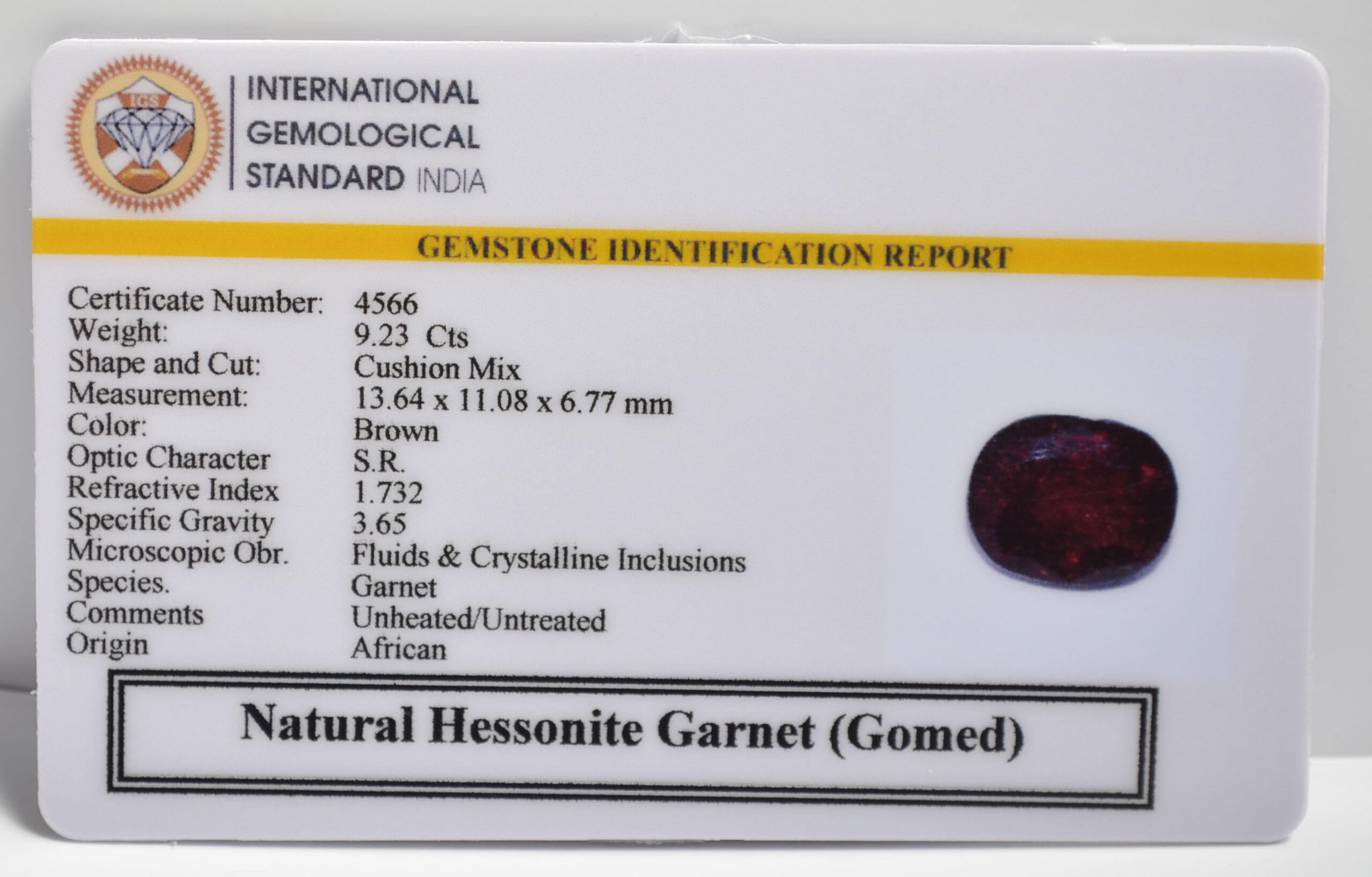 GMD7207 2 1 scaled HESSONITE GOMED 9.23 Ct.