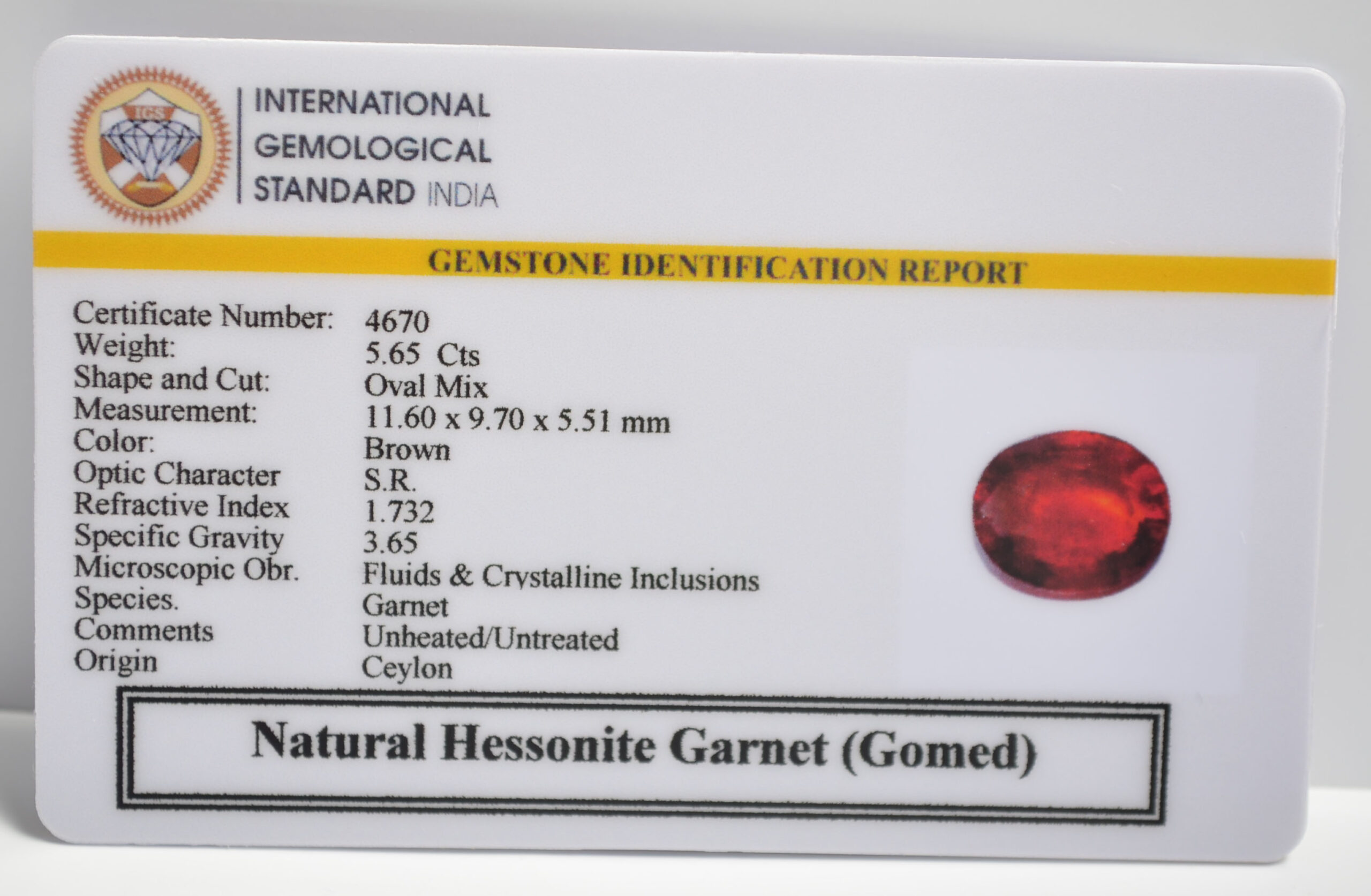 GMD7267 2 1 scaled HESSONITE GOMED 5.65 Ct.