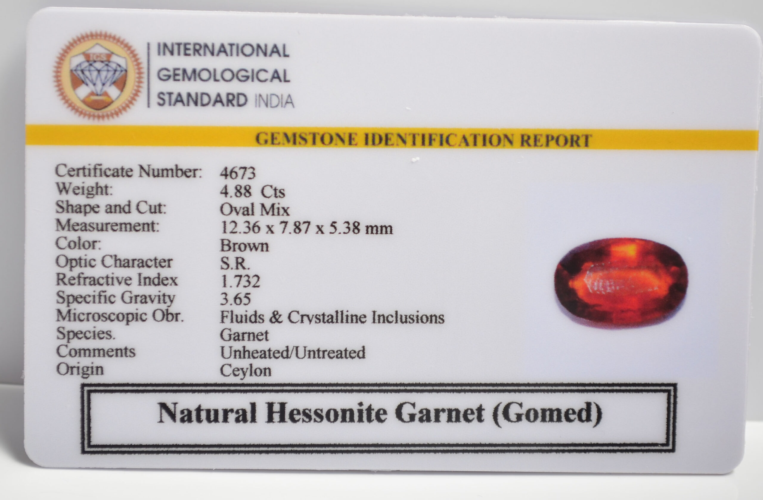 GMD7270 2 1 scaled HESSONITE GOMED 4.88 Ct.