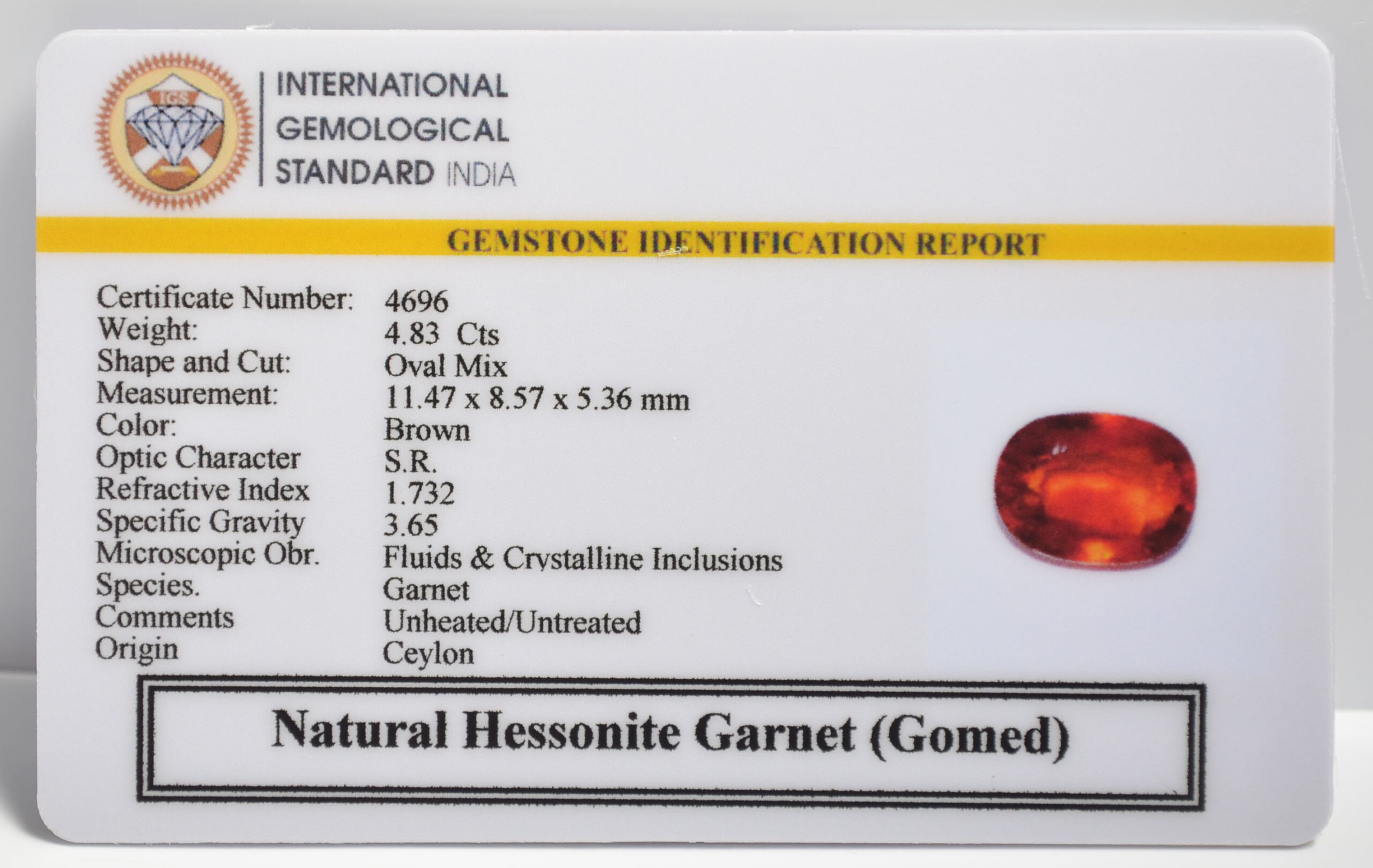 GMD7291 2 1 scaled HESSONITE GOMED 4.83 Ct.