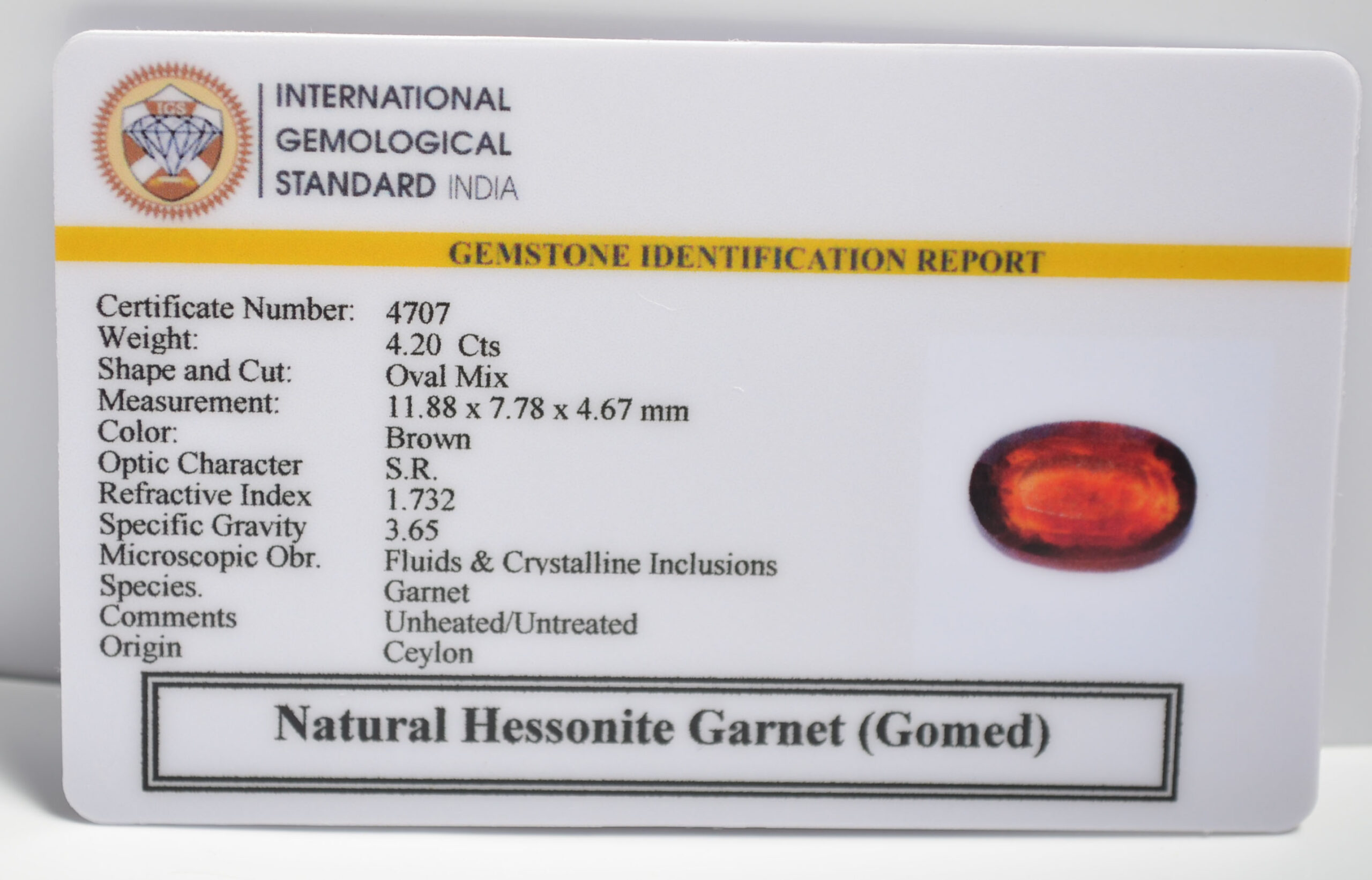 GMD7302 2 1 scaled HESSONITE GOMED 4.2 Ct.