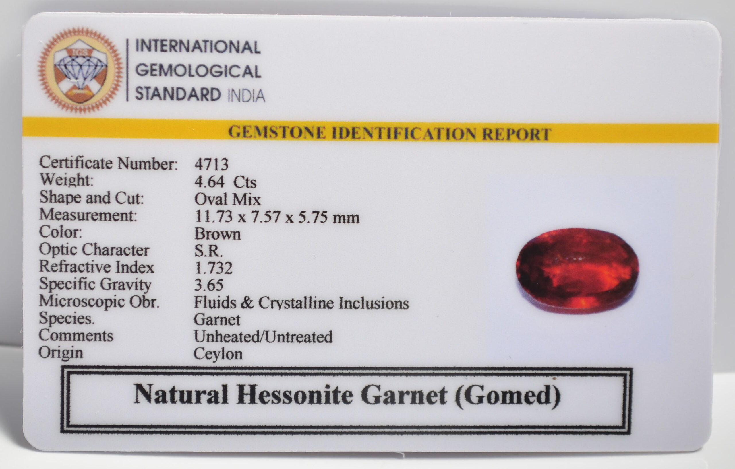 GMD7307 2 1 scaled HESSONITE GOMED 4.64 Ct.
