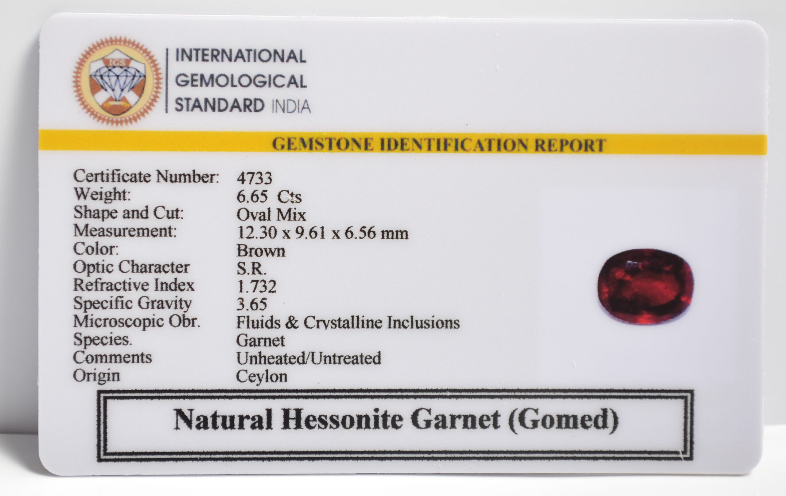 GMD7325 2 1 scaled HESSONITE GOMED 6.65 Ct.