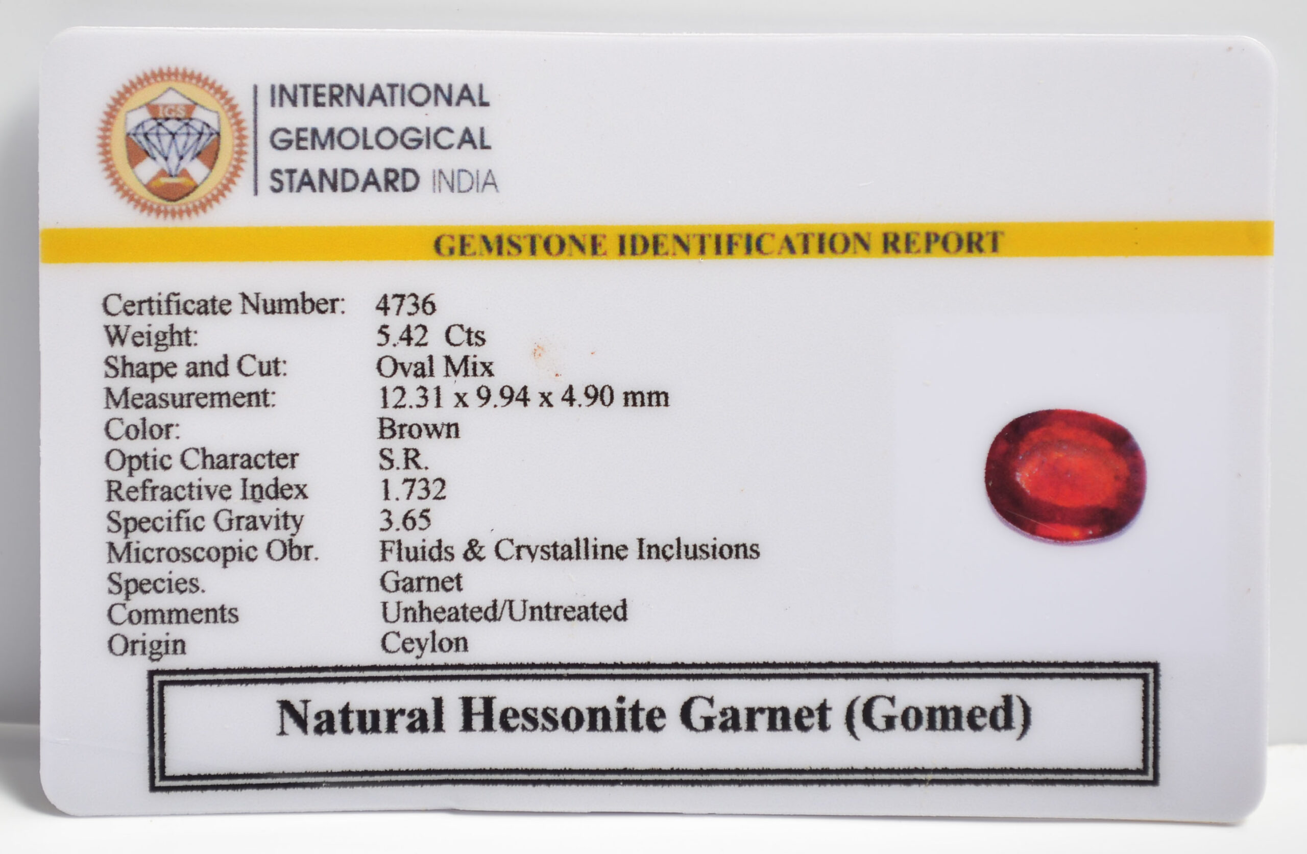 GMD7328 2 1 scaled HESSONITE GOMED 5.42 Ct.