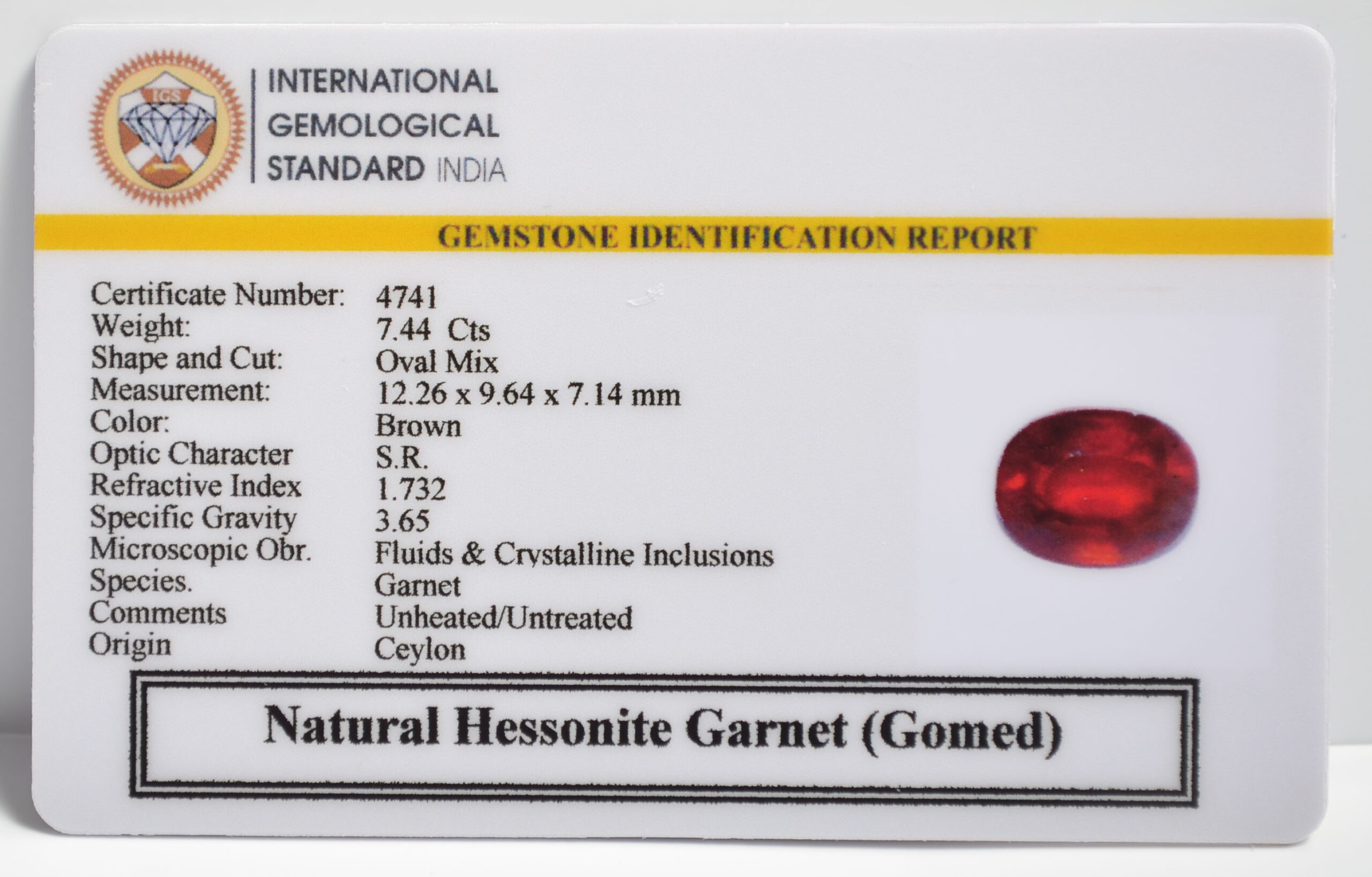 GMD7333 2 1 scaled HESSONITE GOMED 7.44 Ct.