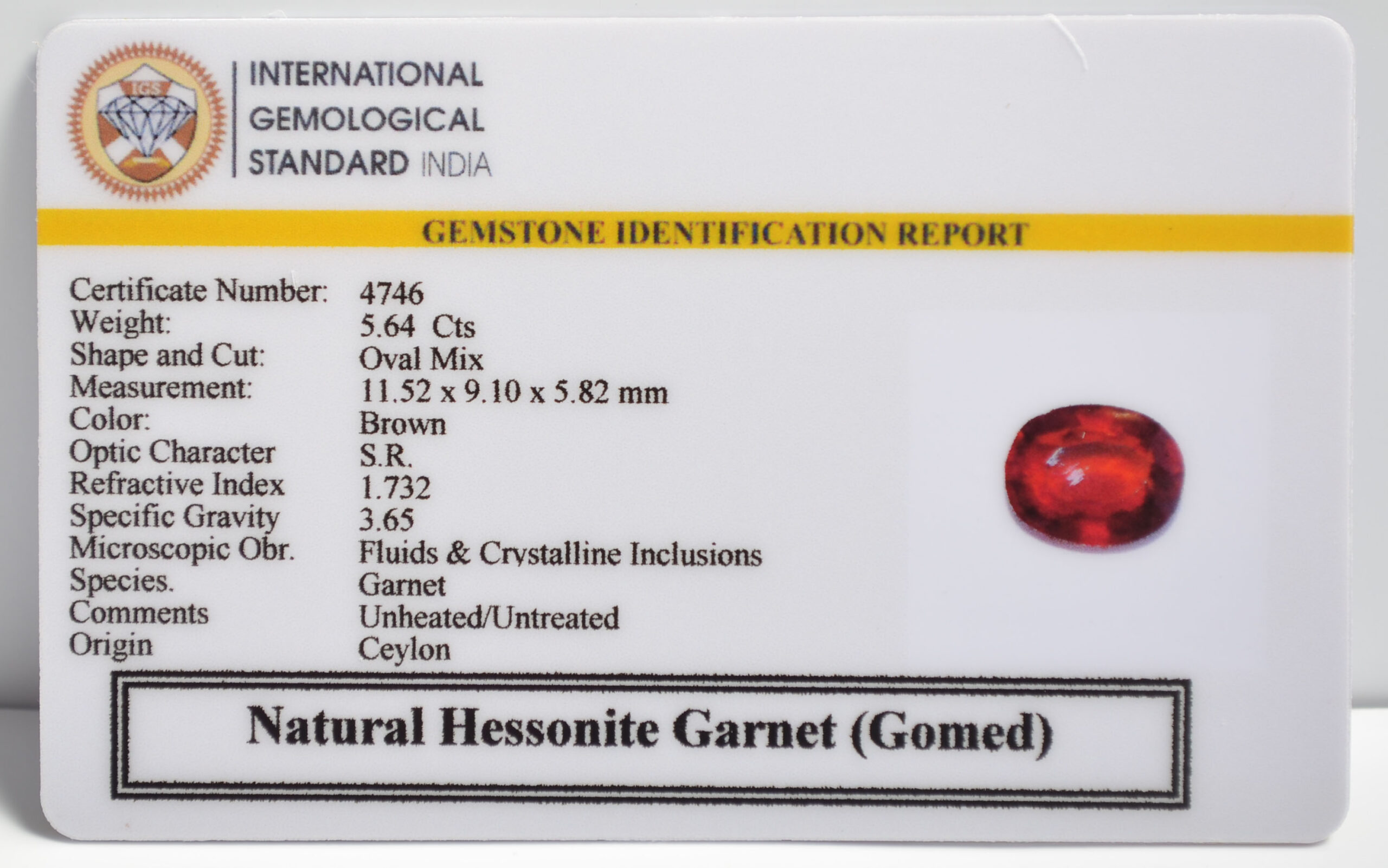 GMD7338 2 1 scaled HESSONITE GOMED 5.64 Ct.