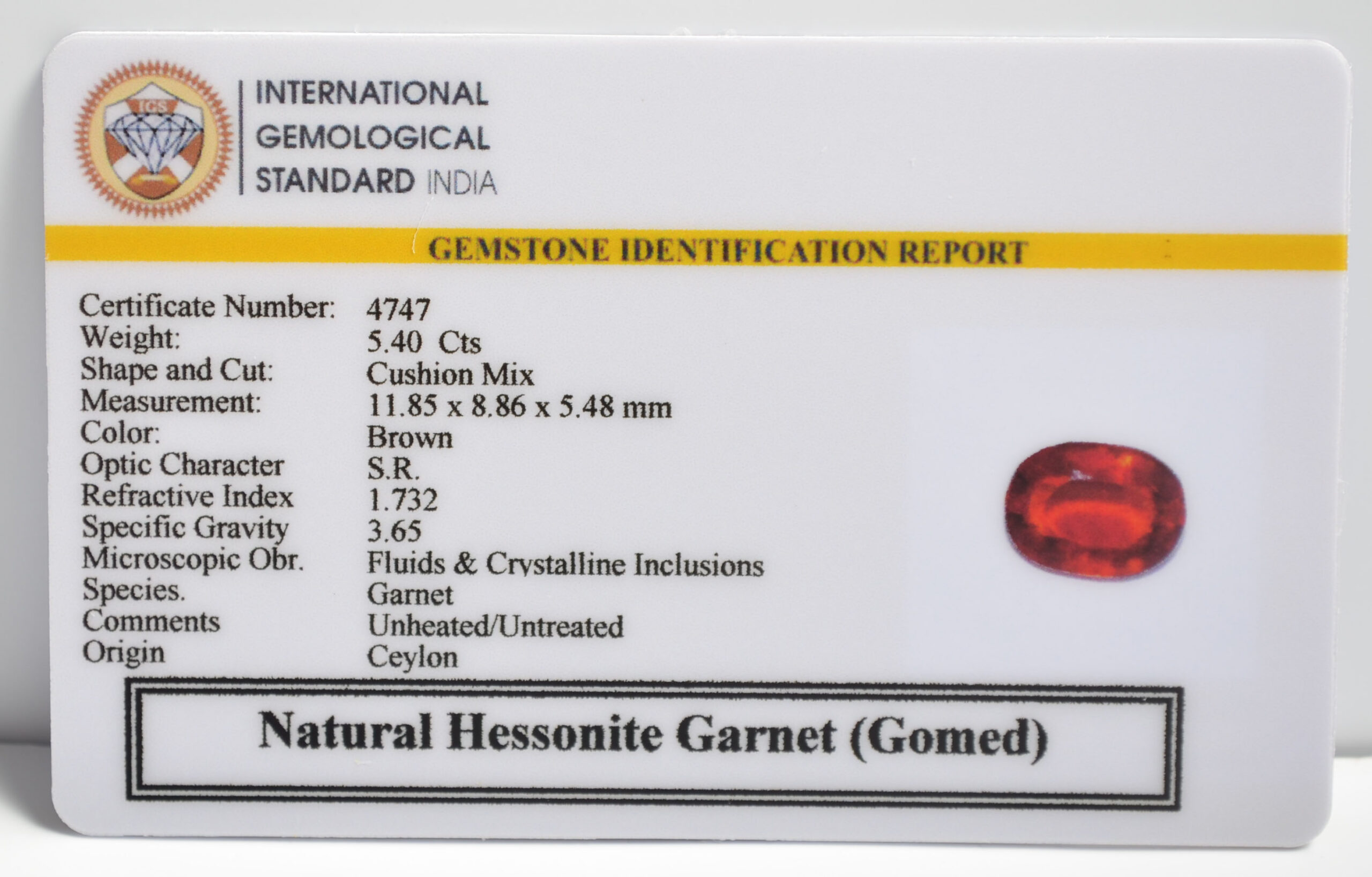 GMD7339 2 1 scaled HESSONITE GOMED 5.4 Ct.