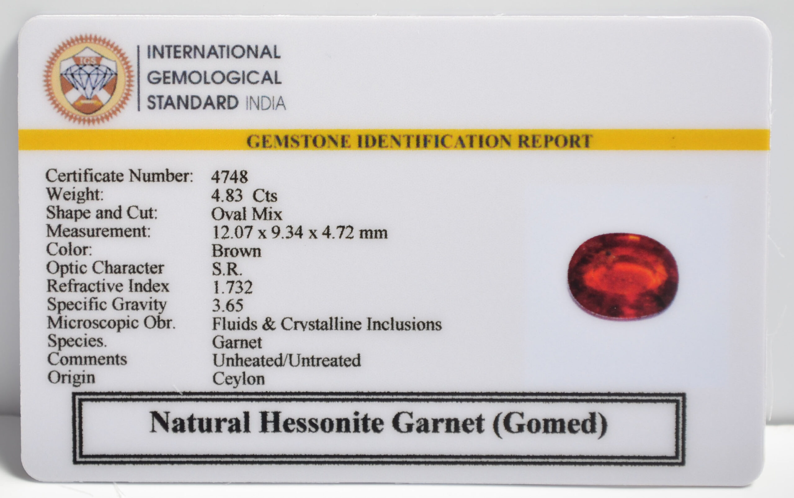 GMD7340 2 1 scaled HESSONITE GOMED 4.83 Ct.
