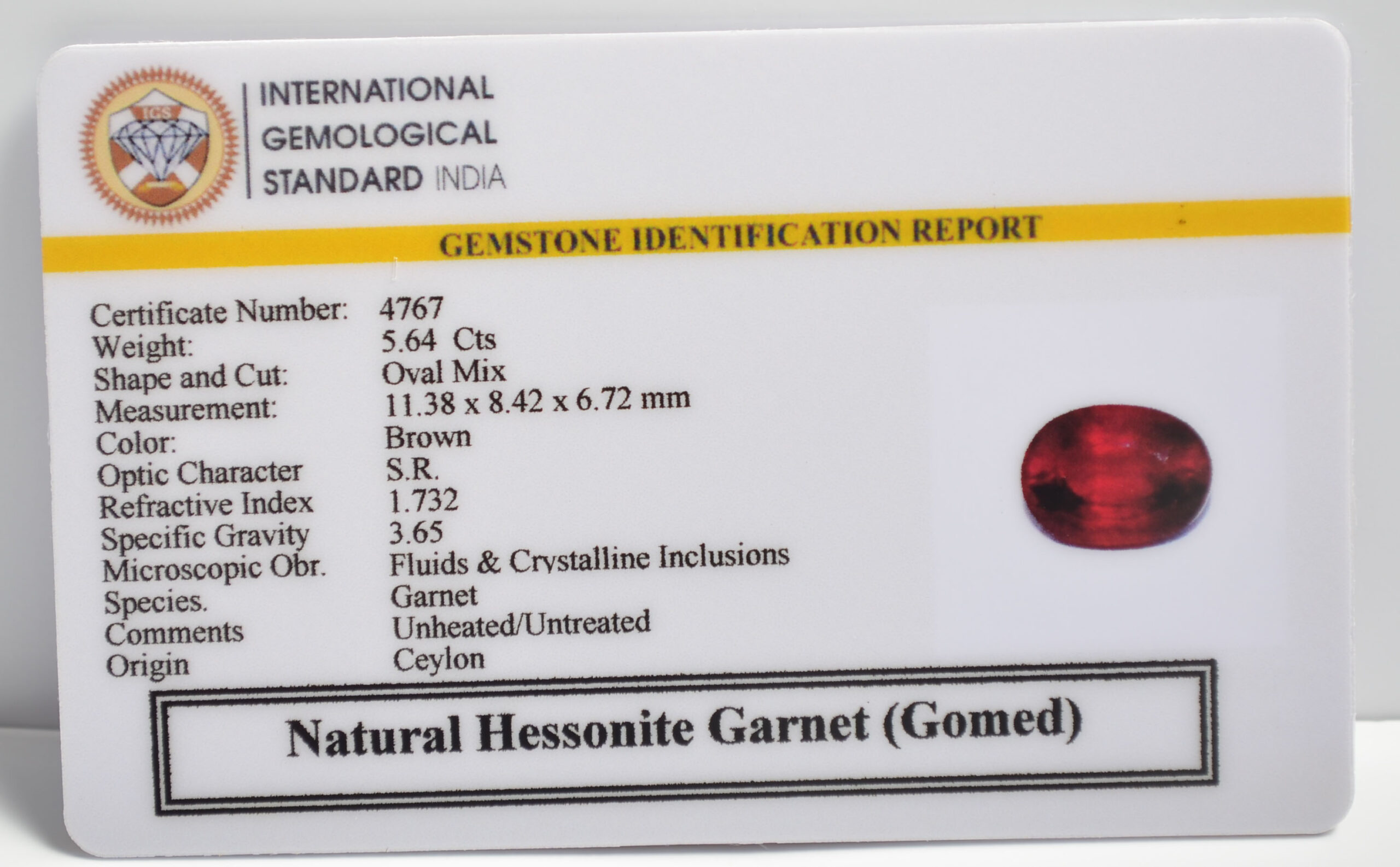 GMD7359 2 1 scaled HESSONITE GOMED 5.64 Ct.