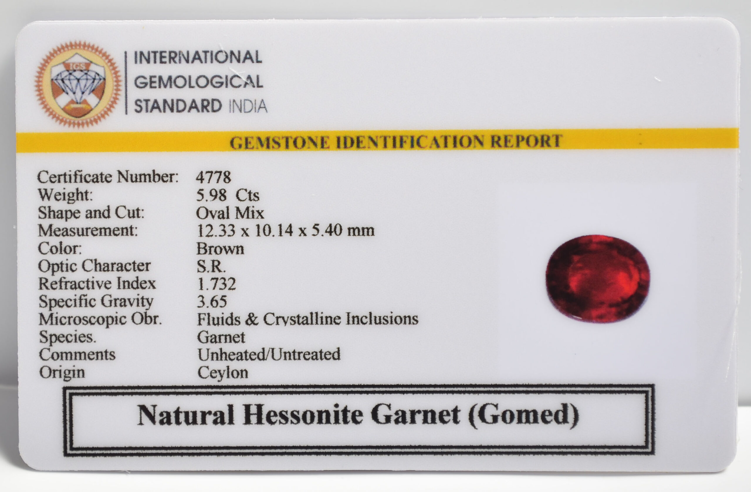 GMD7370 2 1 scaled HESSONITE GOMED 5.98 Ct.