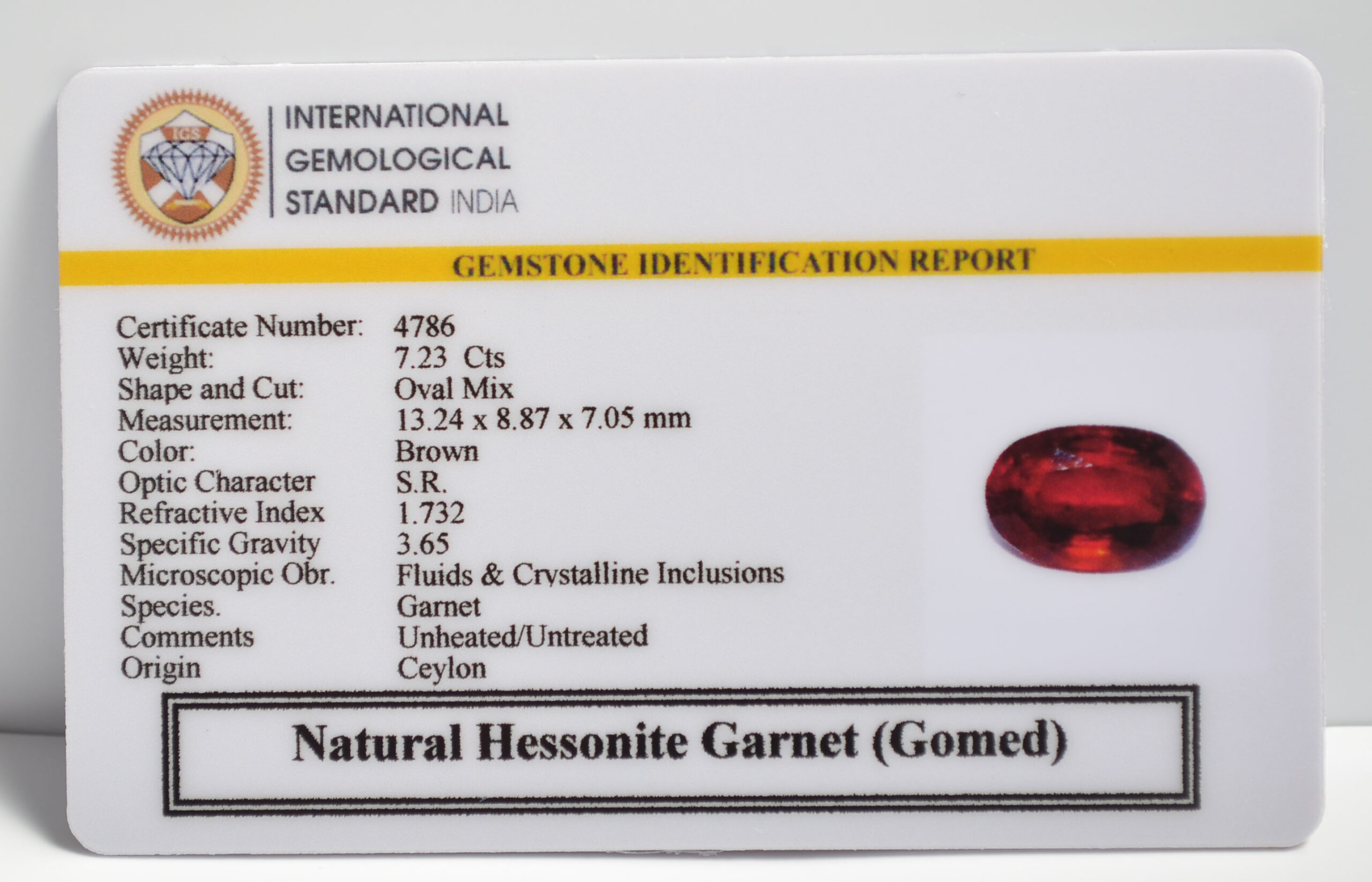 GMD7378 2 1 scaled HESSONITE GOMED 7.23 Ct.