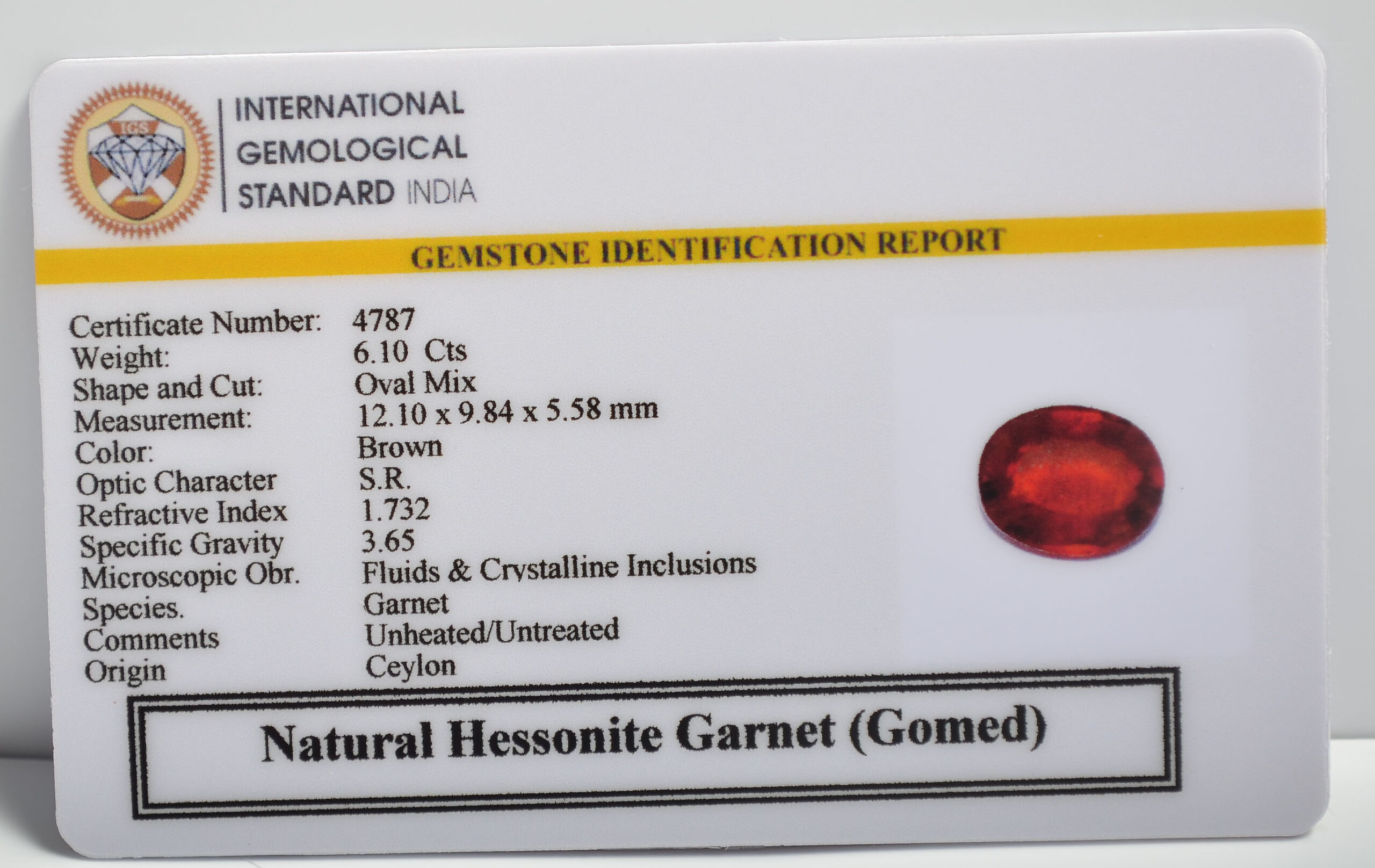 GMD7379 2 1 scaled HESSONITE GOMED 6.1 Ct.