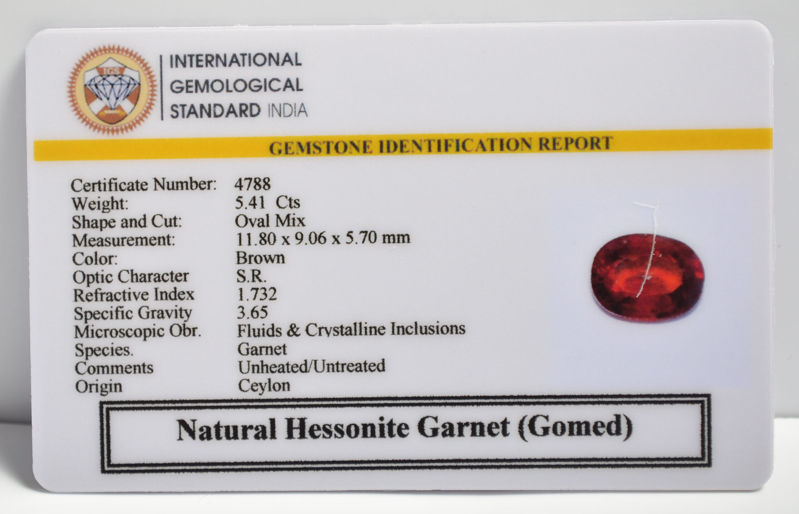 GMD7380 2 1 scaled HESSONITE GOMED 5.41 Ct.