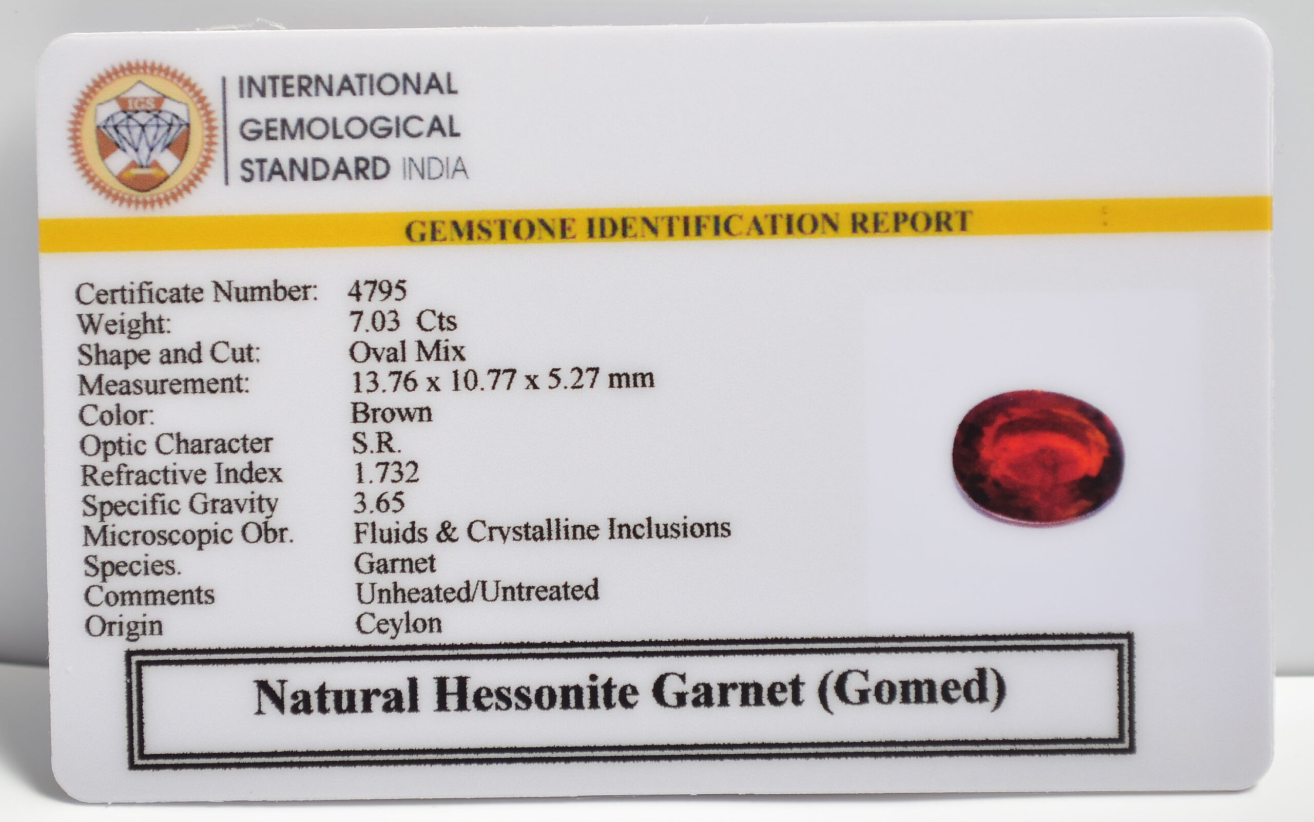 GMD7387 2 1 scaled HESSONITE GOMED 7.03 Ct.