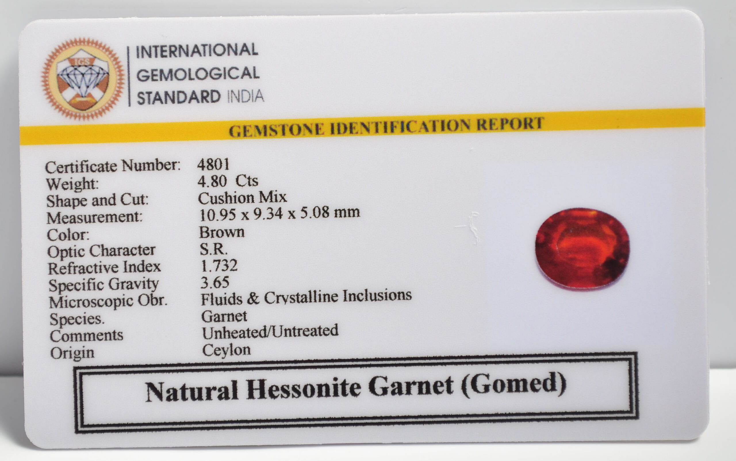 GMD7393 2 1 scaled HESSONITE GOMED 4.8 Ct.