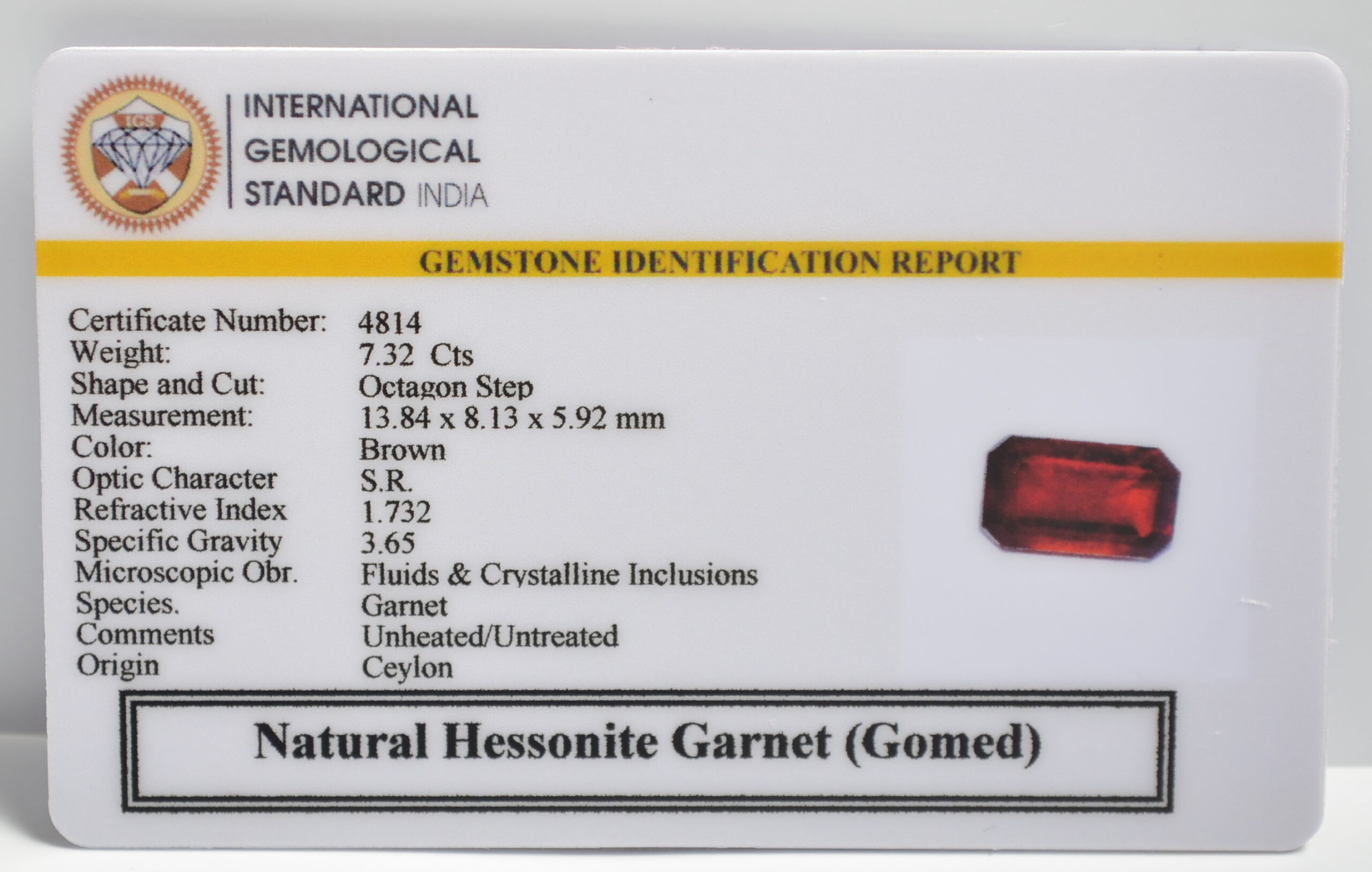 GMD7406 2 1 scaled HESSONITE GOMED 7.32 Ct.