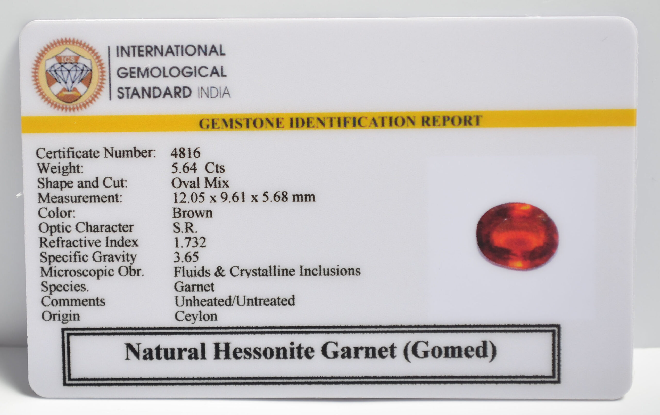 GMD7408 2 1 scaled HESSONITE GOMED 5.64 Ct.
