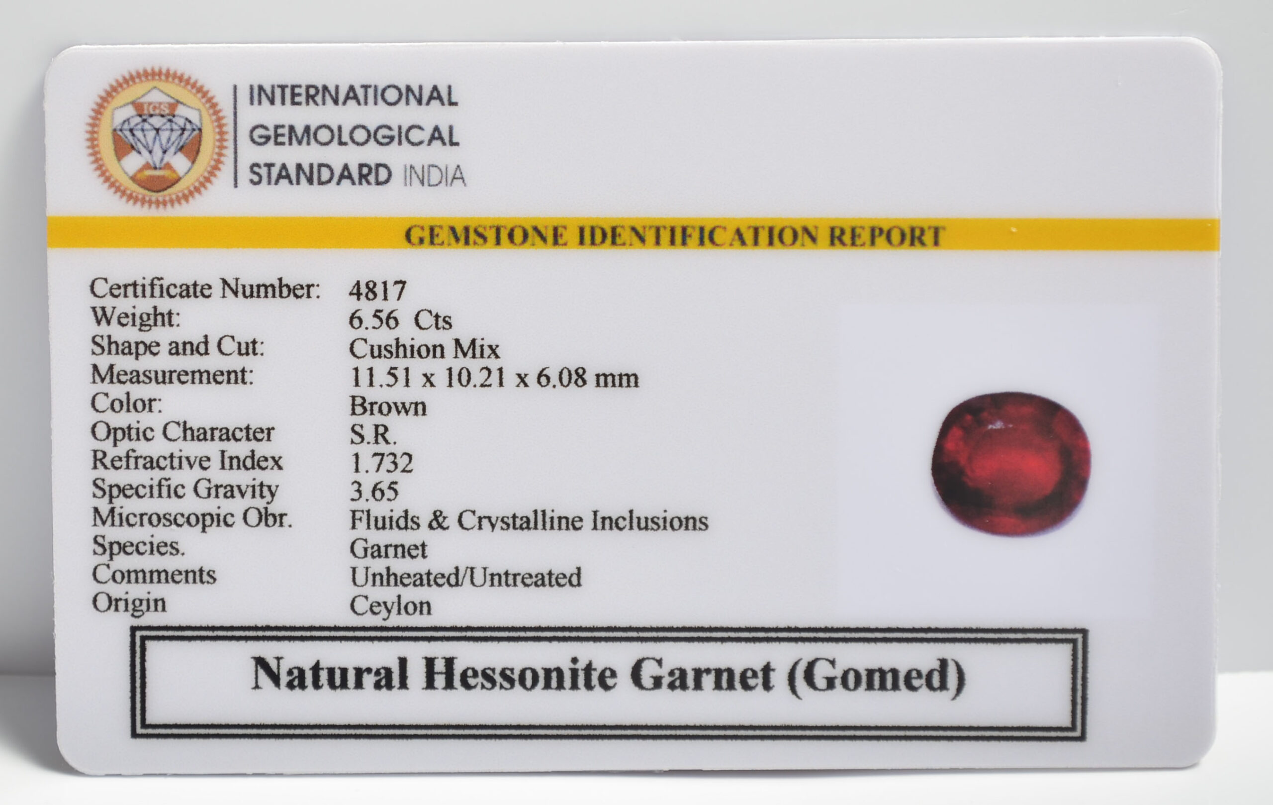 GMD7409 2 1 scaled HESSONITE GOMED 6.56 Ct.