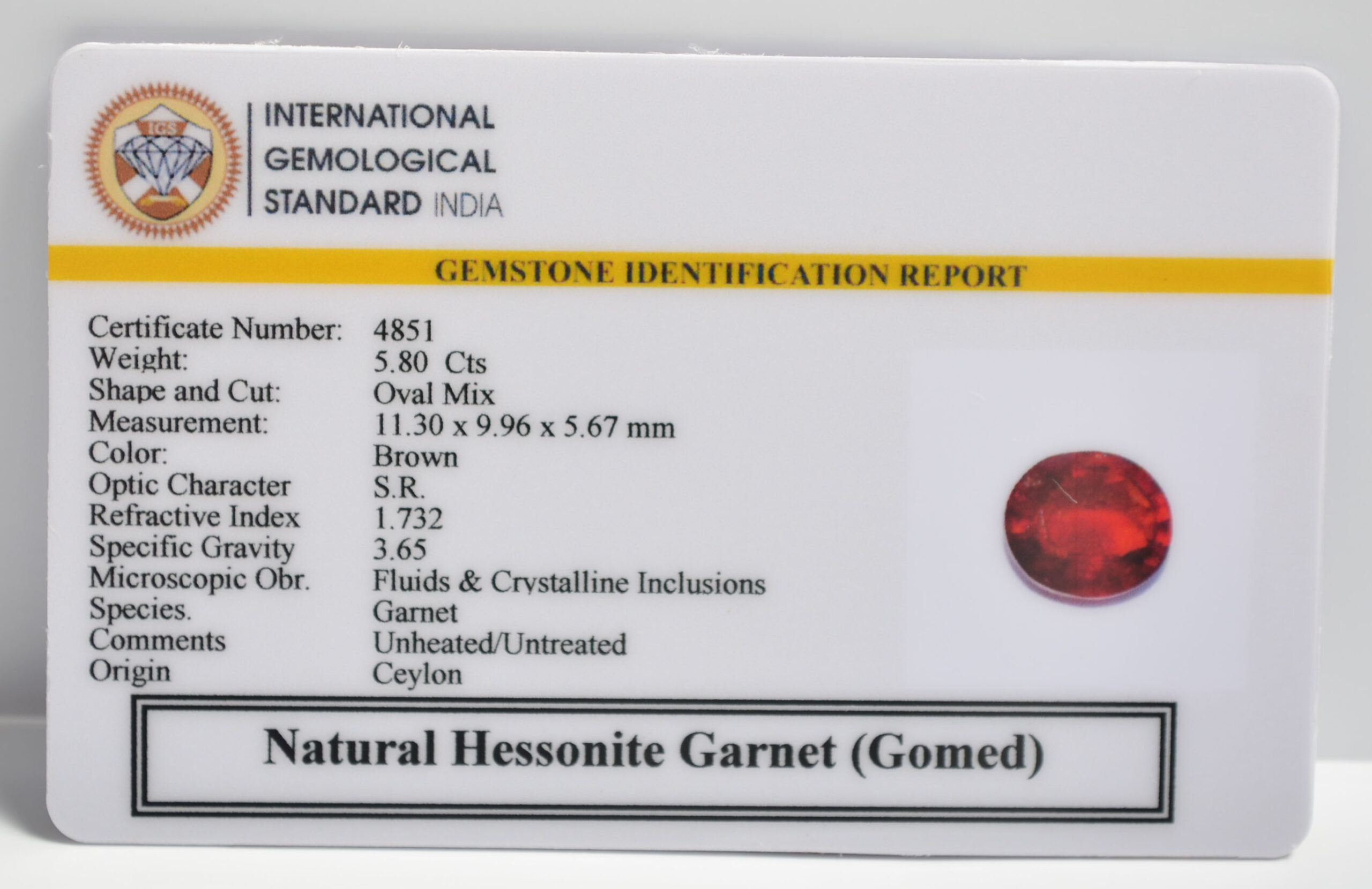 GMD7439 2 1 scaled HESSONITE GOMED 5.8 Ct.