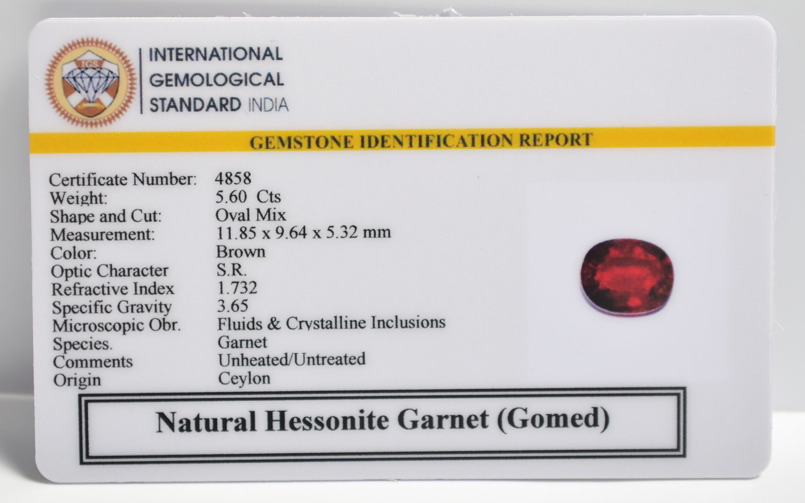 GMD7444 2 1 scaled HESSONITE GOMED 5.6 Ct.