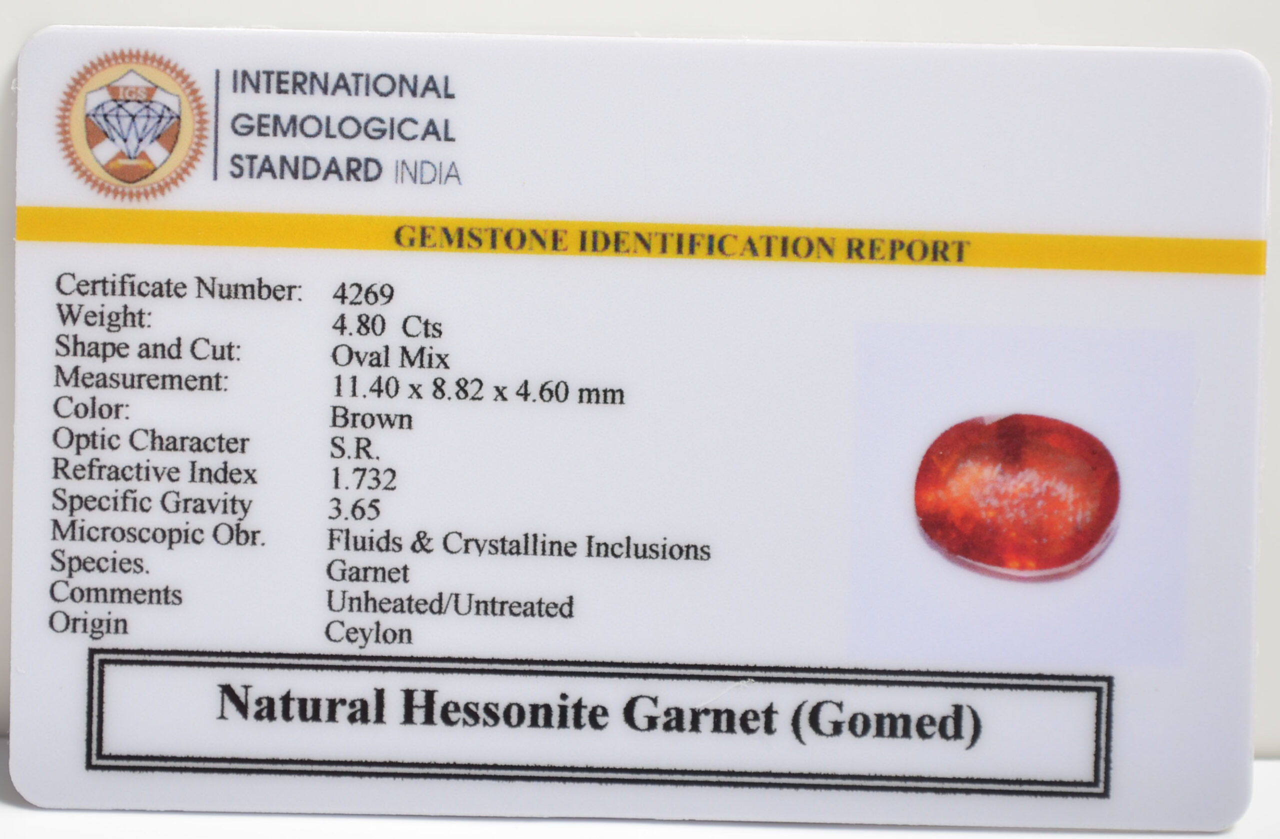 GMDG7086 2 1 scaled HESSONITE GOMED 4.8 Ct.