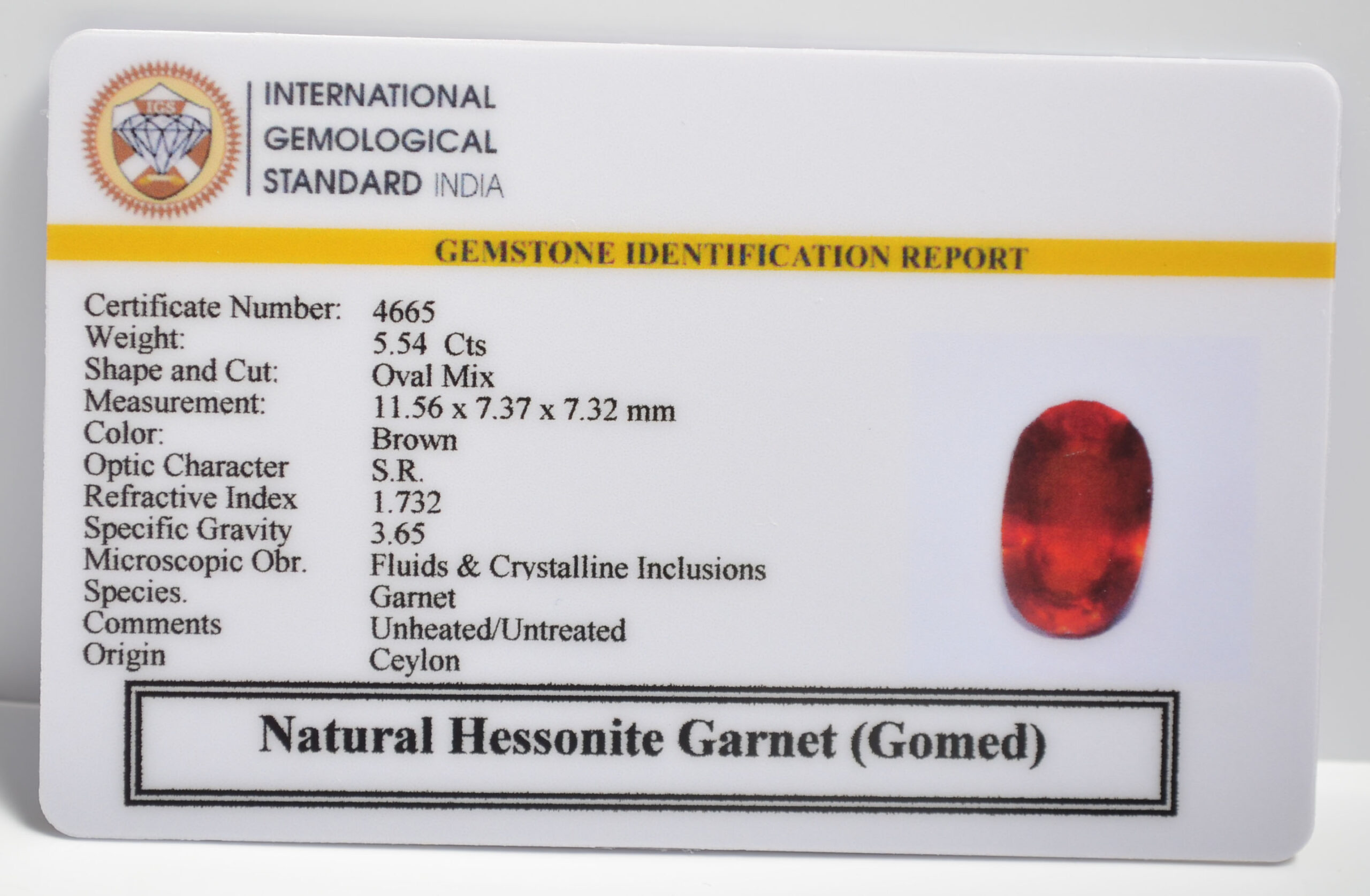 GMDG7130 2 1 scaled HESSONITE GOMED 5.54 Ct.