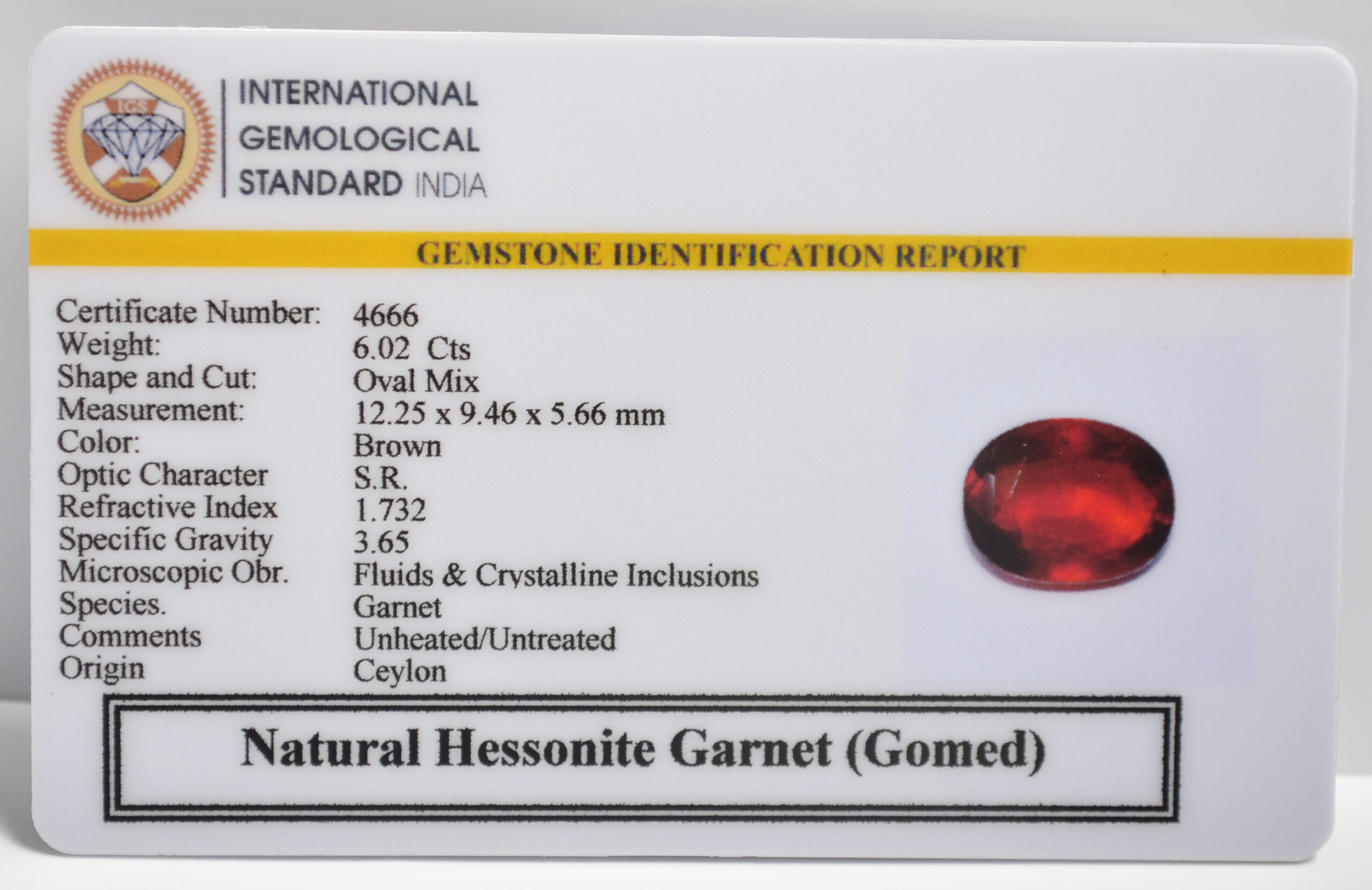GMDG7131 2 1 scaled HESSONITE GOMED 6.02 Ct.
