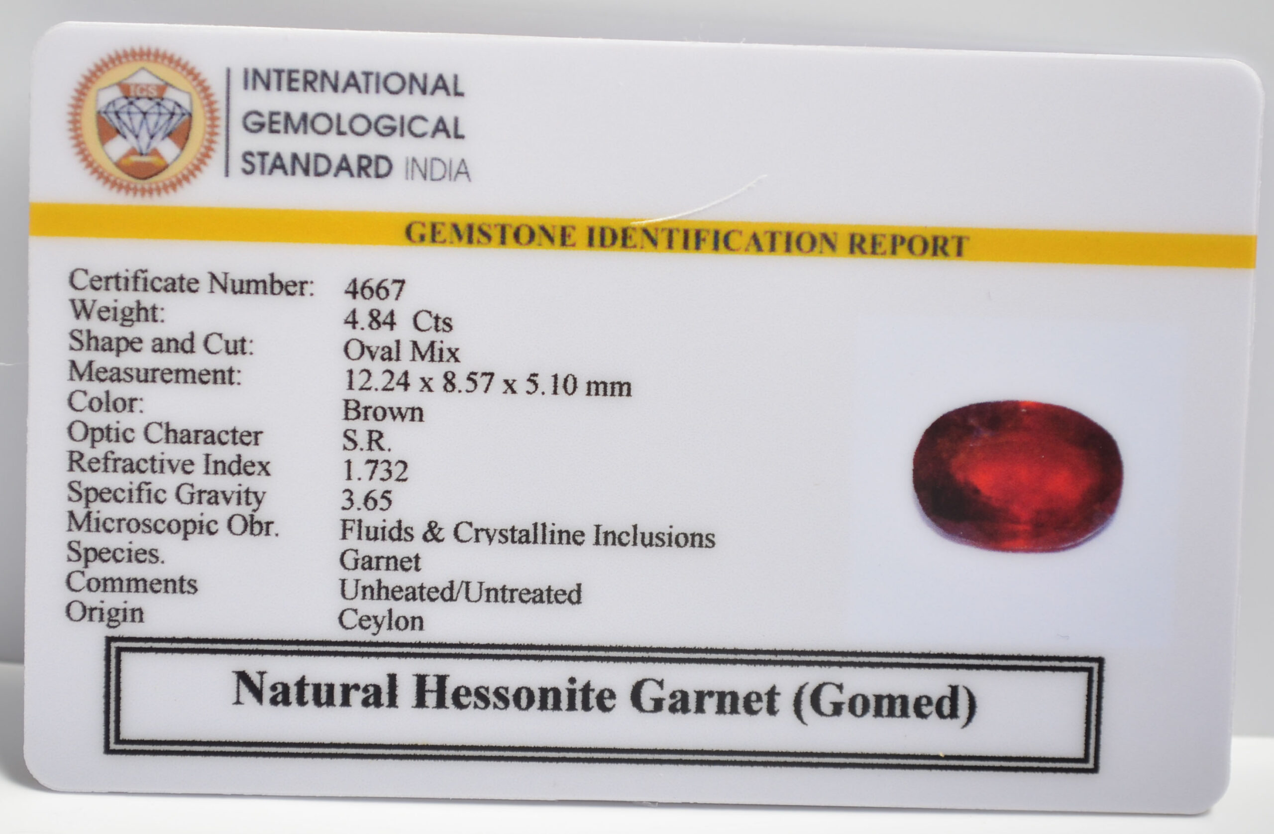 GMDG7132 2 1 scaled HESSONITE GOMED 4.84 Ct.