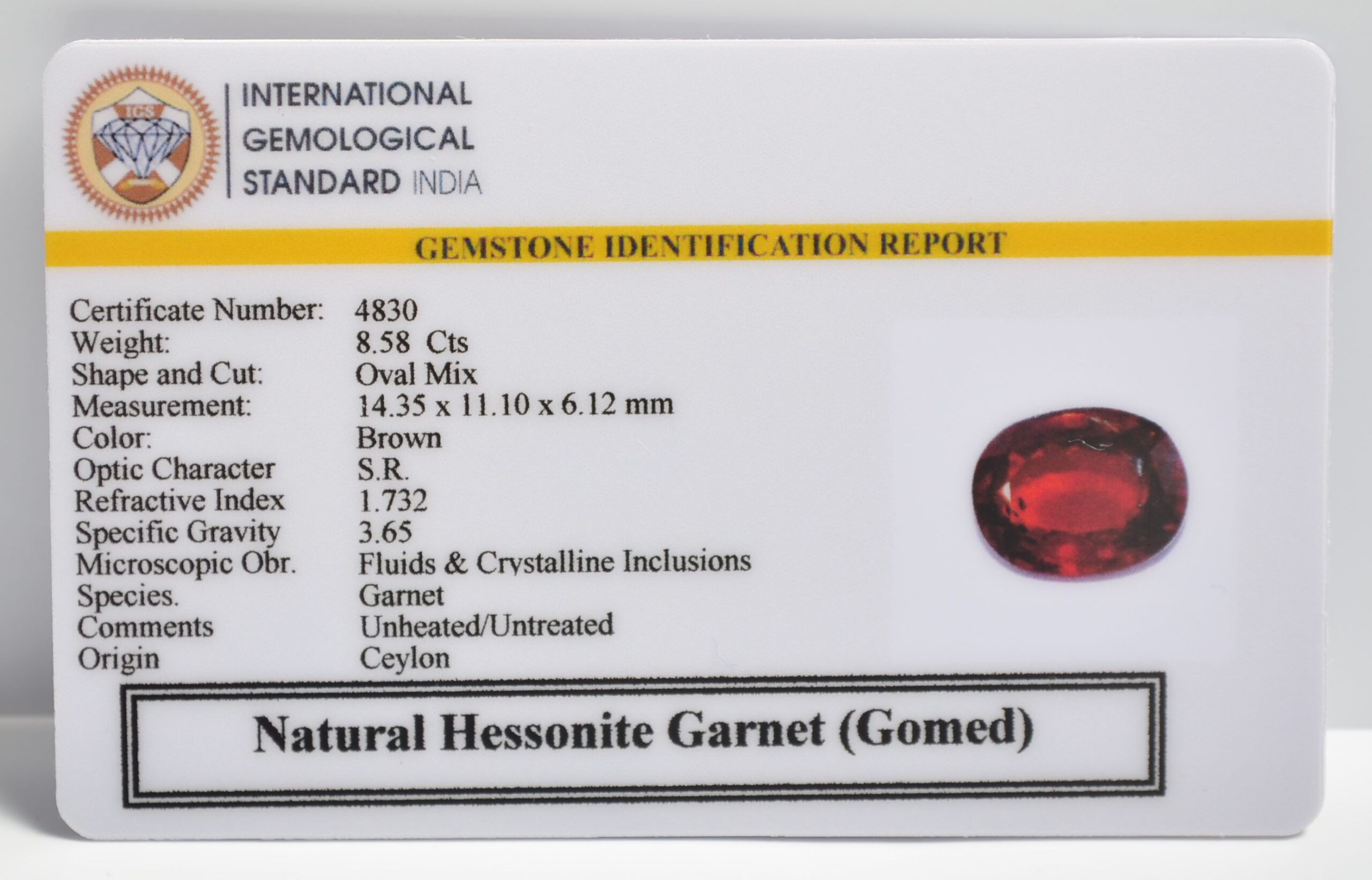 GMDG7139 2 1 scaled HESSONITE GOMED 8.58 Ct.