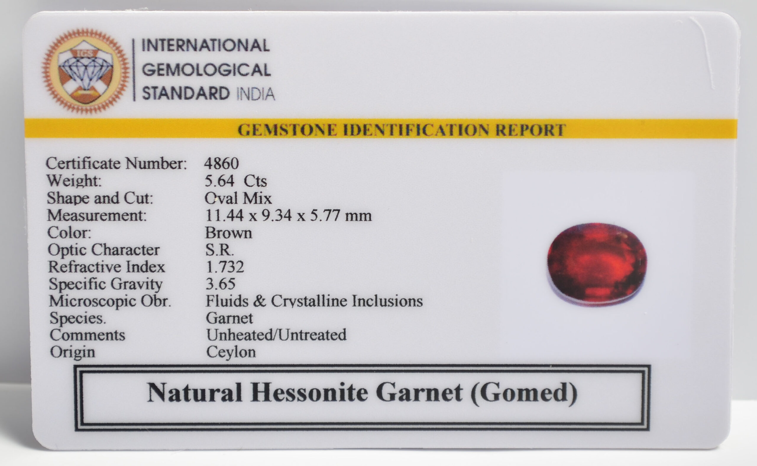 GMDG7144 2 1 scaled HESSONITE GOMED 5.64 Ct.