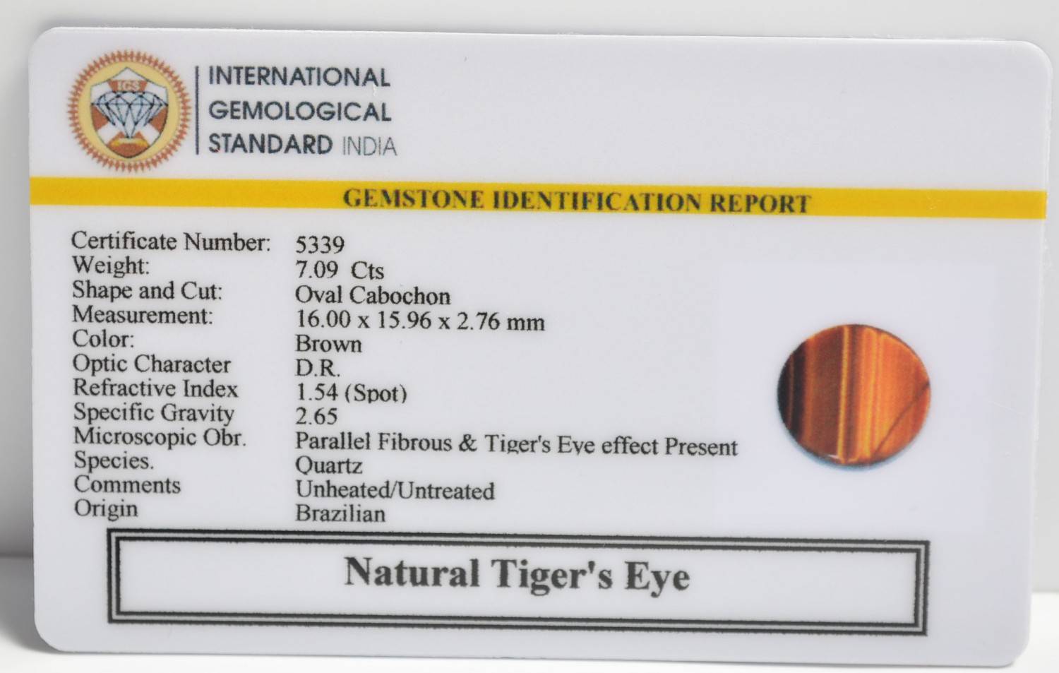TGR242 2 1 TIGER'S EYE 7.09 Ct.