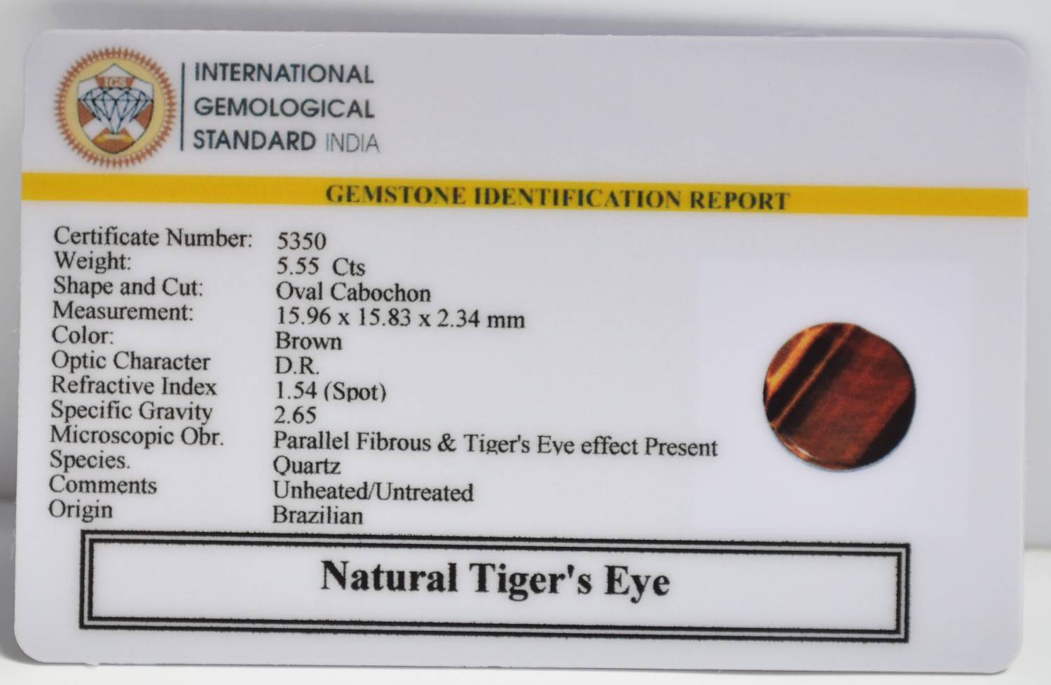 TGR253 2 1 TIGER'S EYE 5.55 Ct.