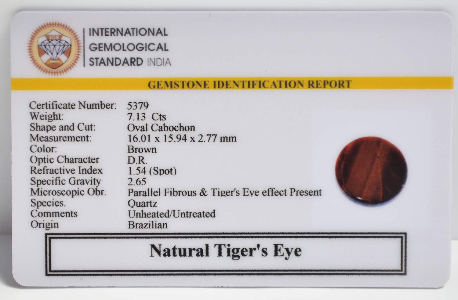 TGR277 2 1 TIGER'S EYE 7.13 Ct.