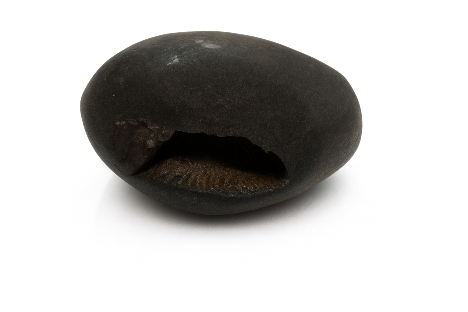 2190 Natural Shaligram