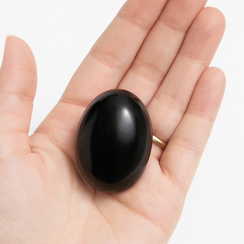 Shaligram 3 new shaligram 1 Shaligram