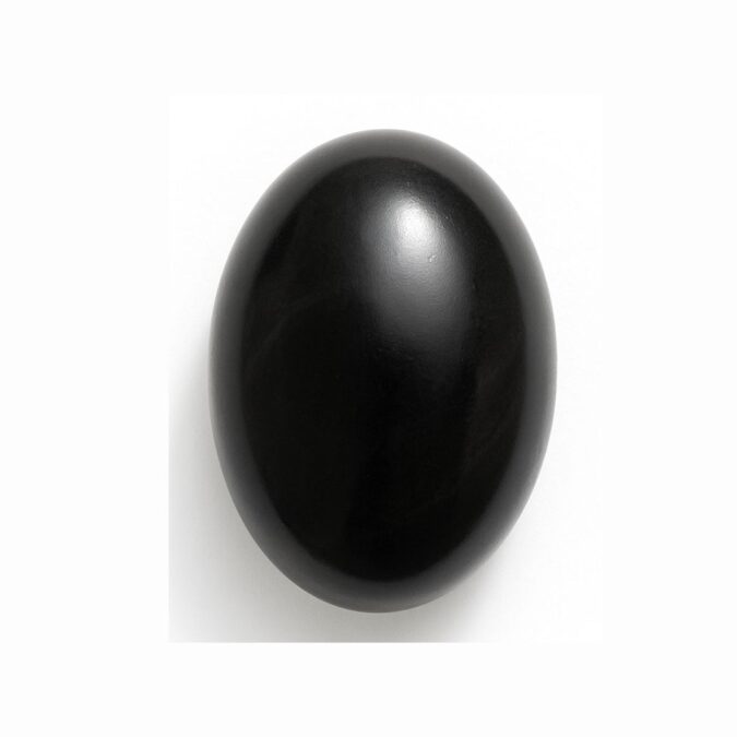 Shaligram 1 re Shaligram