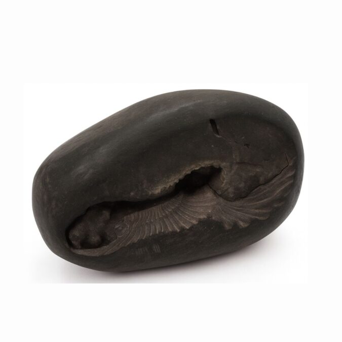 sh2 Natural Shaligram