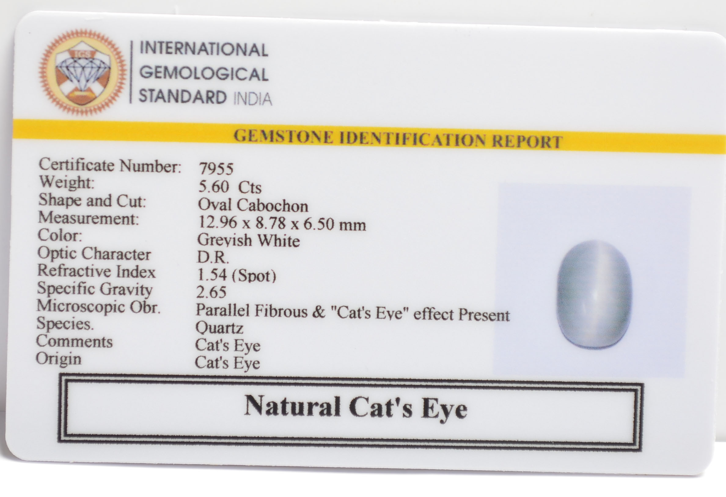 CATS EYE 5.6 Ct. 3 CE2866 2 CATS EYE 5.6 Ct.