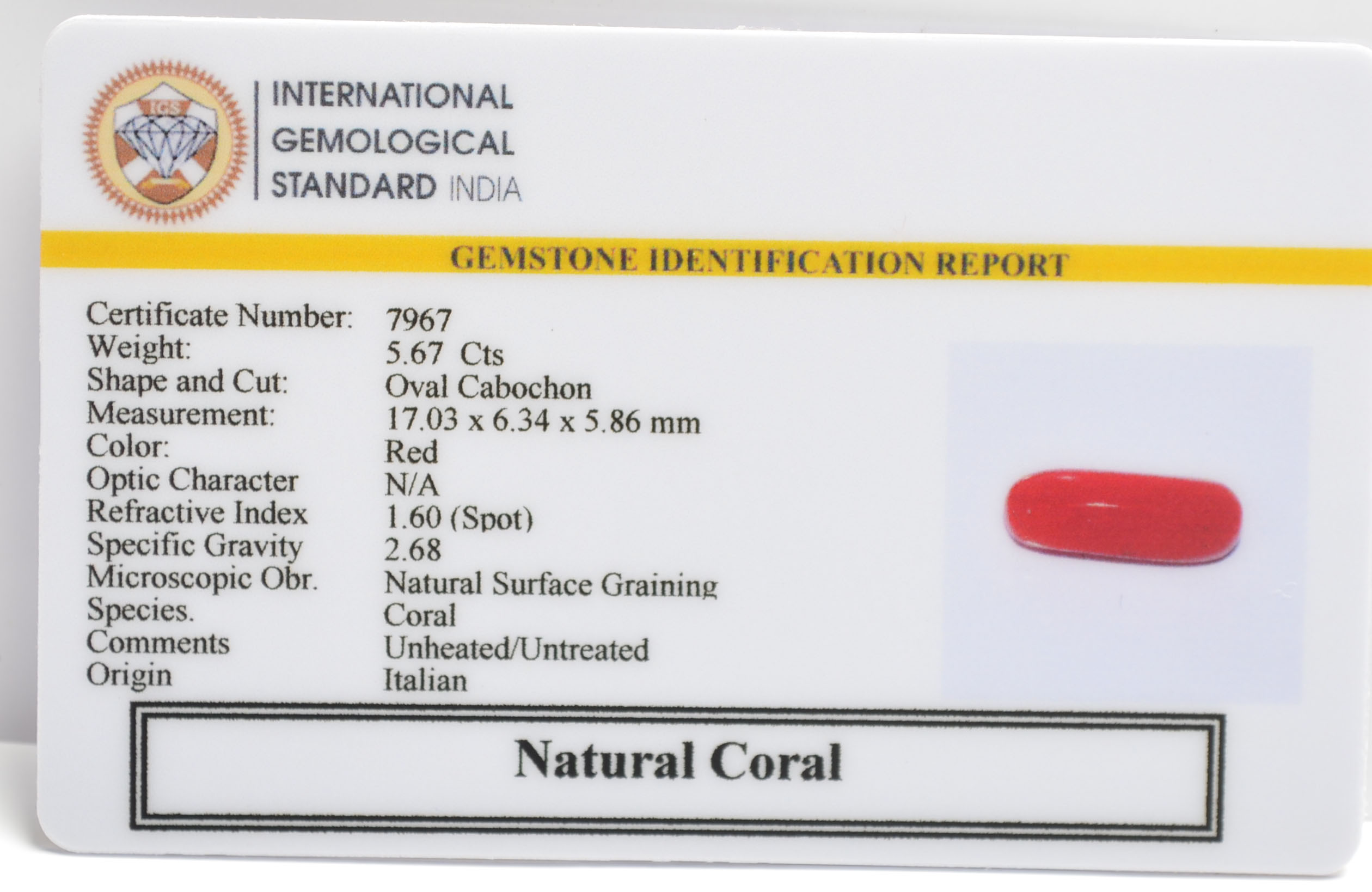 CORAL 5.67 Ct. 3 CRL6275 2 CORAL 5.67 Ct.