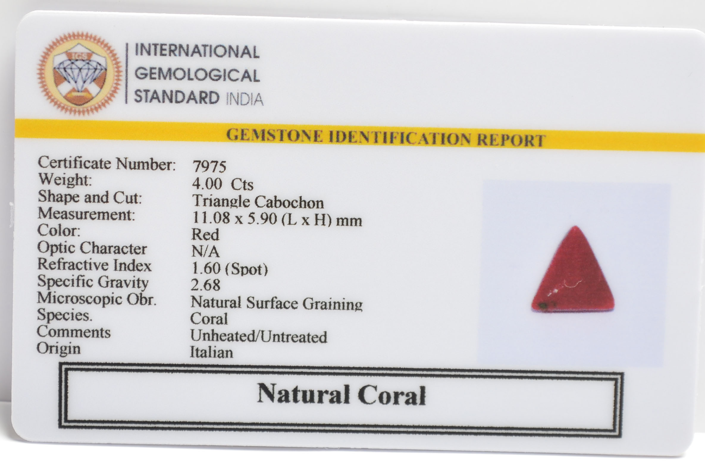 CORAL 4 Ct. 3 CRL6283 2 CORAL 4 Ct.