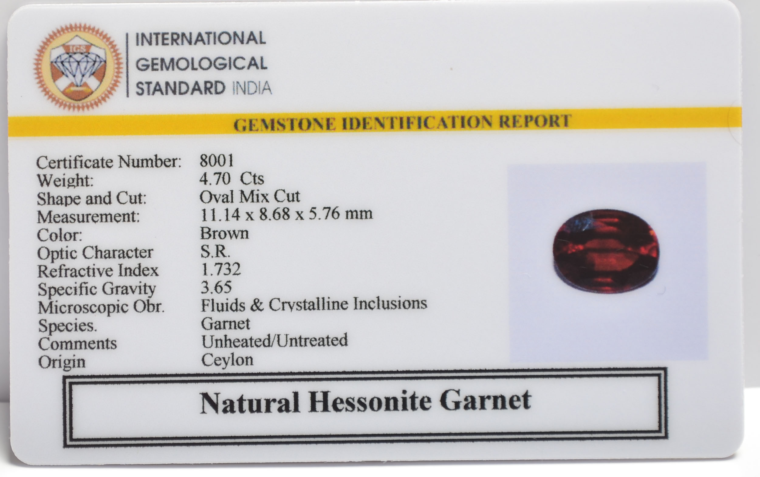 GMD7606 2 HESSONITE GOMED 4.7 Ct.